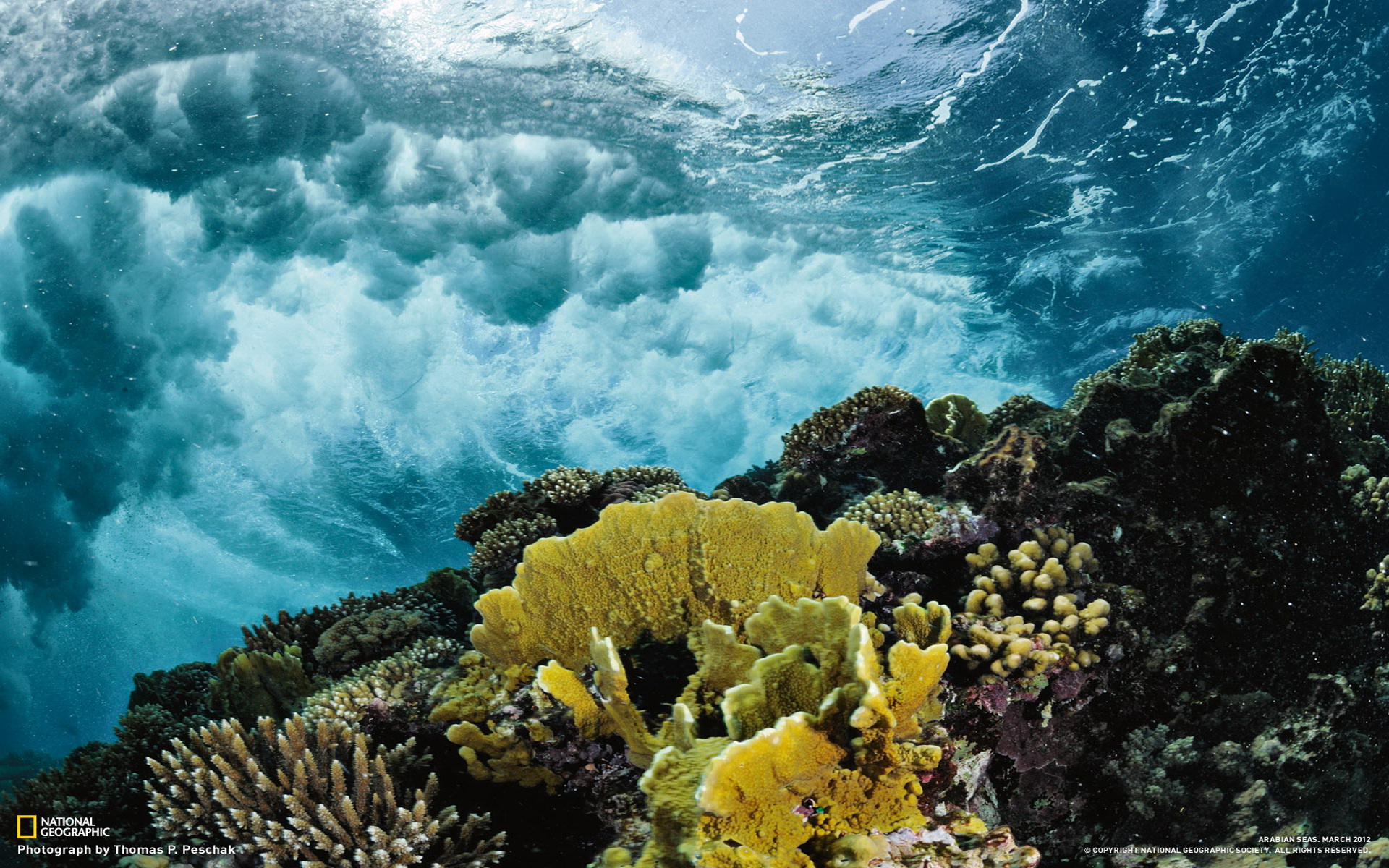Laden Sie das Unterwasser, Erde/natur-Bild kostenlos auf Ihren PC-Desktop herunter