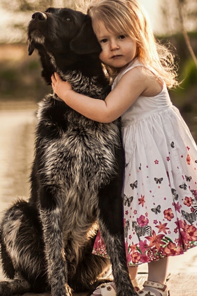 Download mobile wallpaper Dogs, Dog, Animal, Child, Blonde, Friend for free.