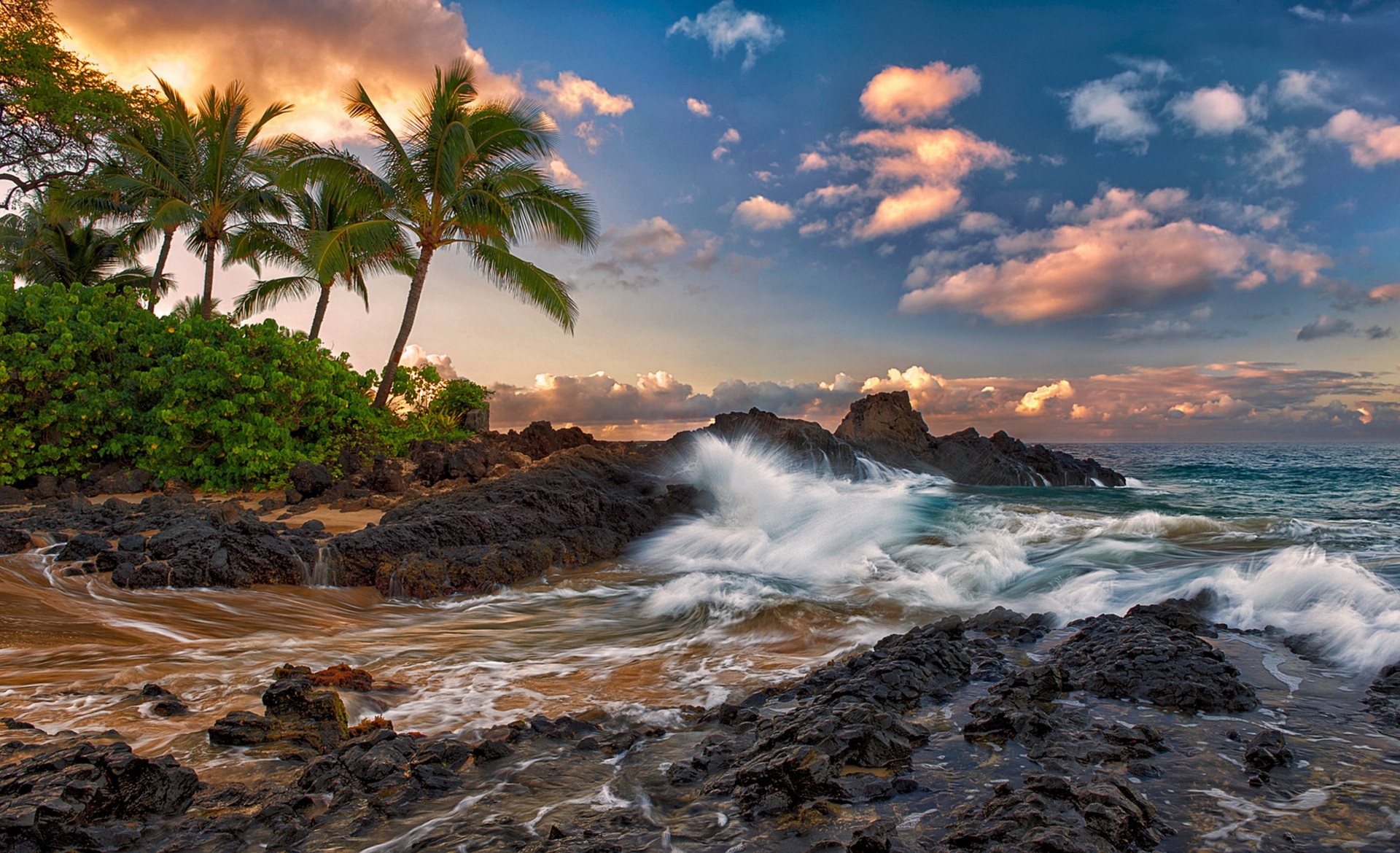 594630 descargar fondo de pantalla tierra/naturaleza, costa, playa, hawai, horizonte, océano, mar, chapoteo, árbol, ola: protectores de pantalla e imágenes gratis