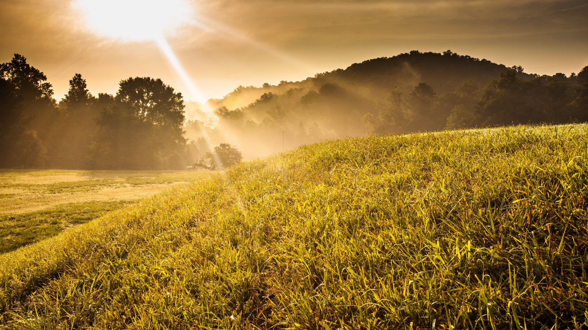 Descarga gratis la imagen Rayo De Sol, Tierra/naturaleza en el escritorio de tu PC