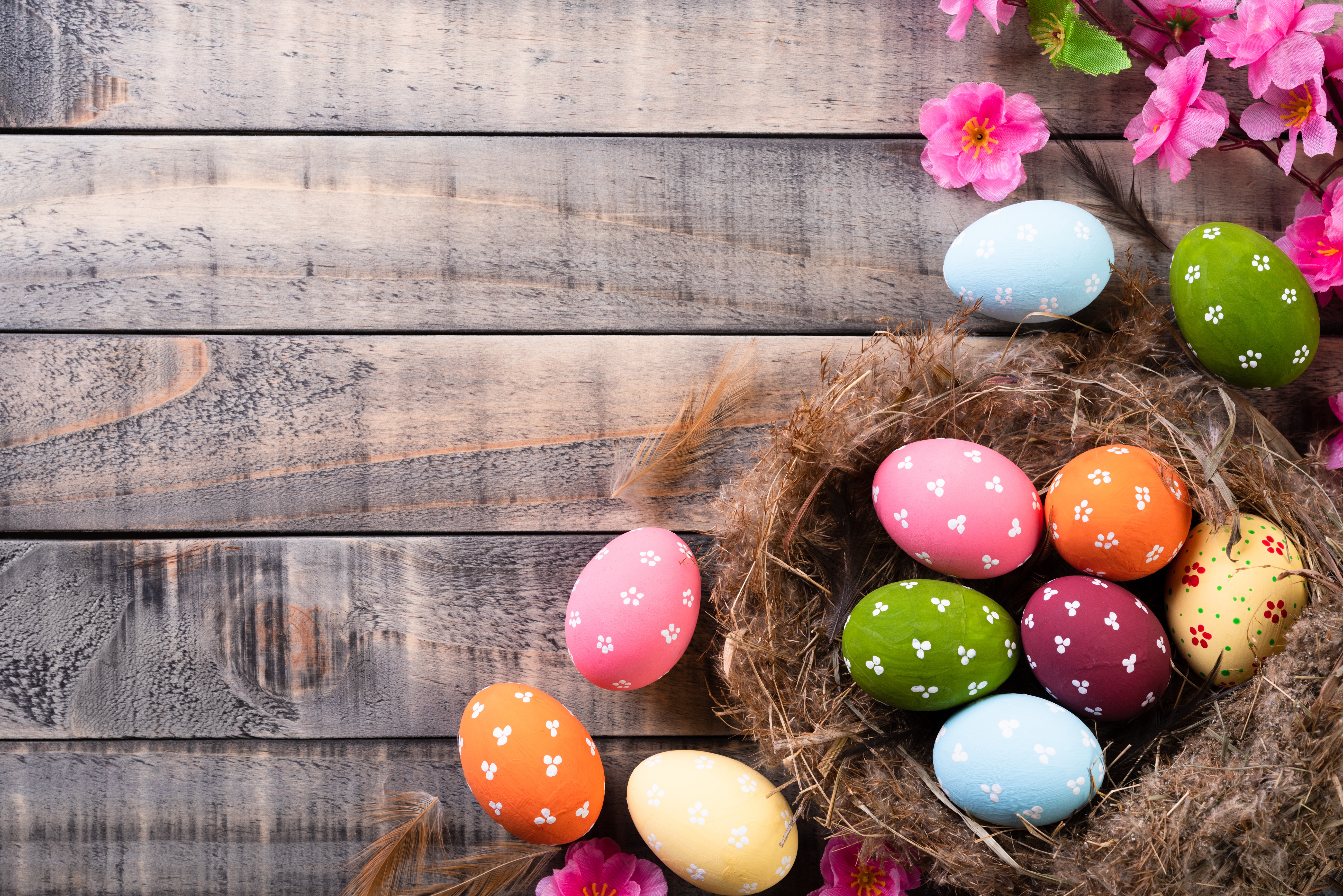 Laden Sie das Feiertage, Ostern, Nest, Osterei-Bild kostenlos auf Ihren PC-Desktop herunter
