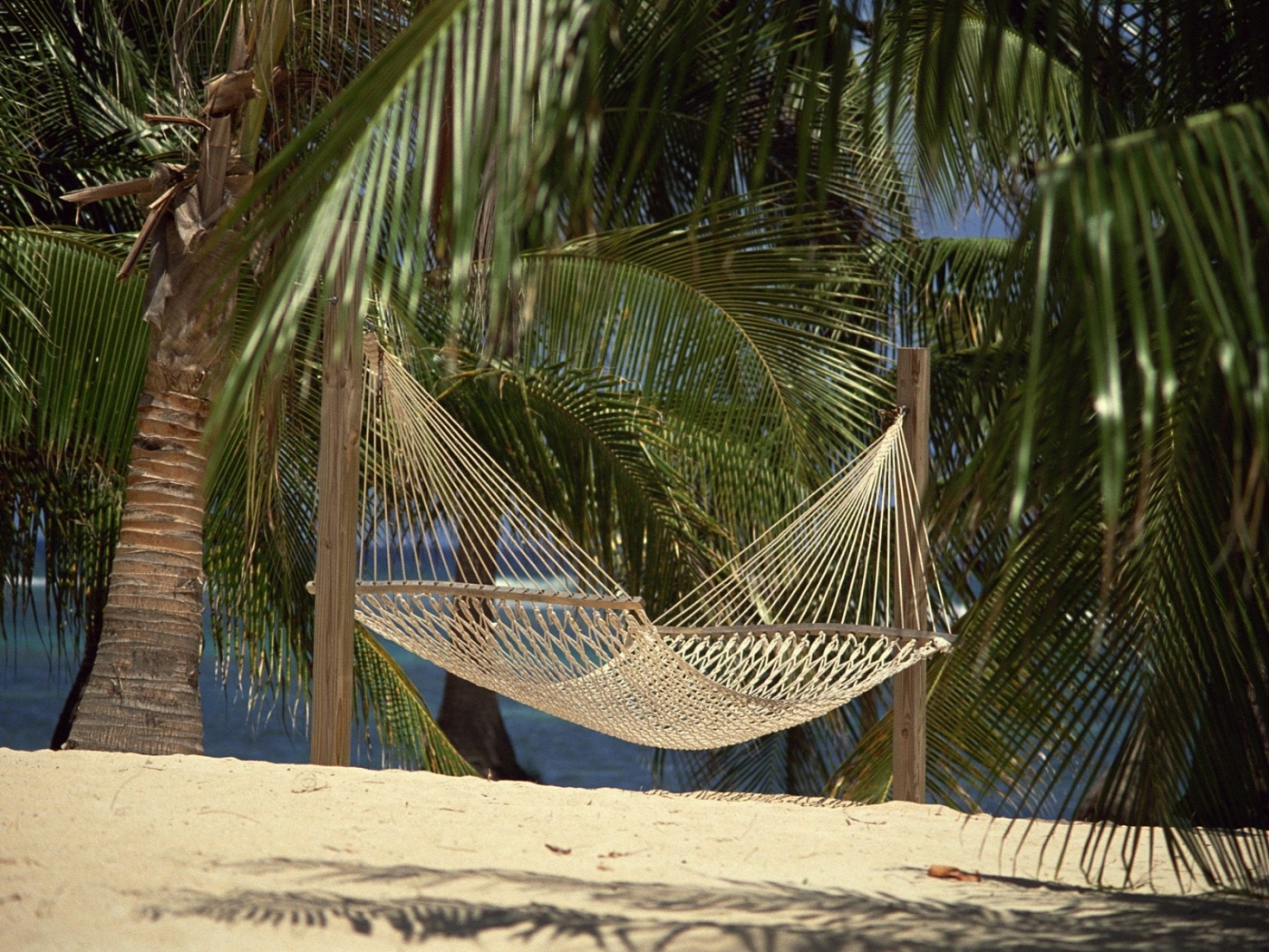 Laden Sie das Palms, Landschaft, Strand-Bild kostenlos auf Ihren PC-Desktop herunter