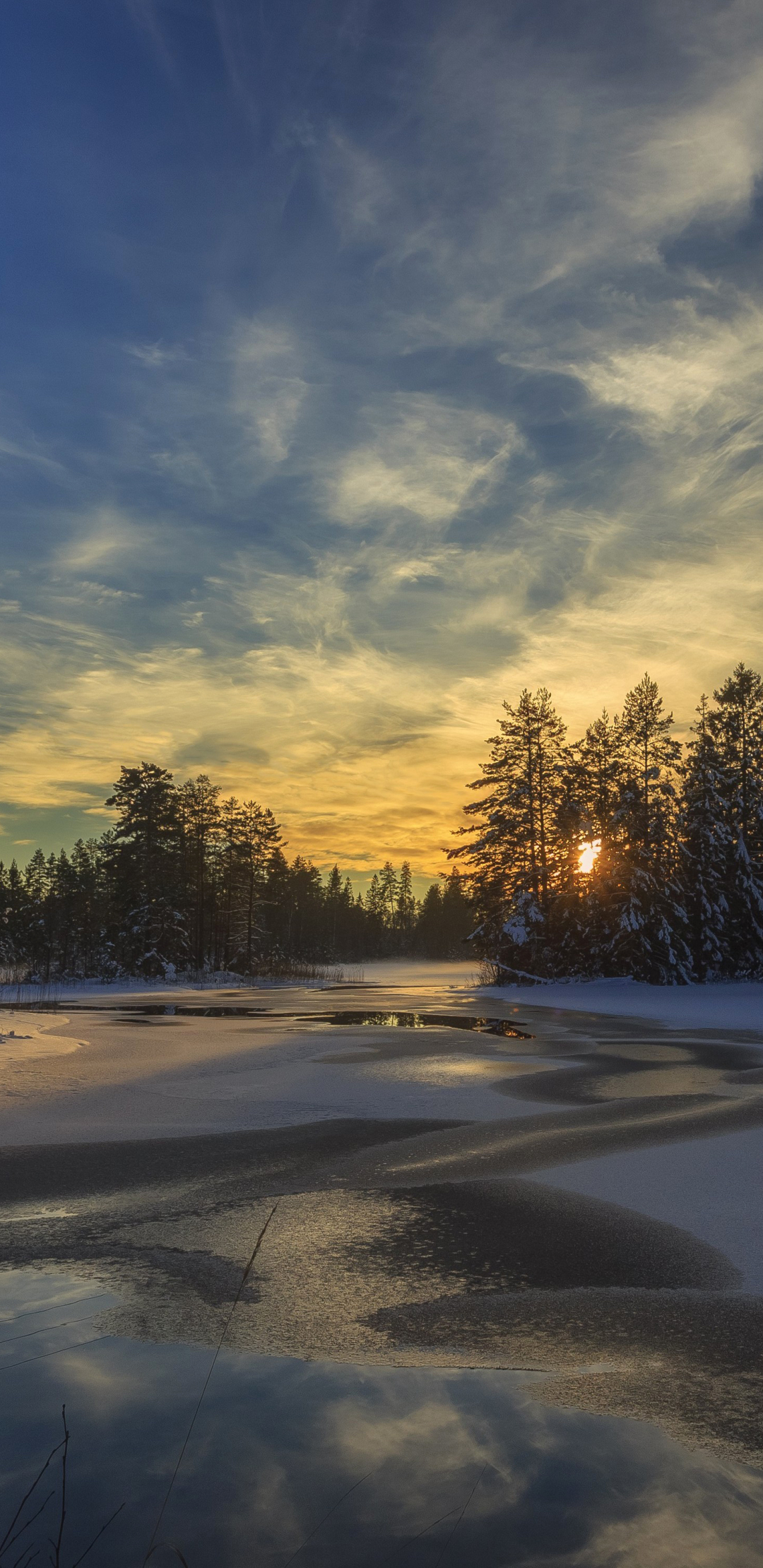 Скачать картинку Зима, Закат, Снег, Озеро, Дерево, Земля/природа, Закат Солнца в телефон бесплатно.