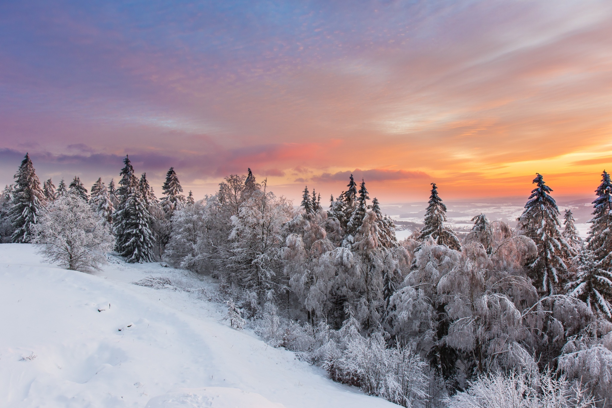 PCデスクトップに風景, 冬, 自然, 木, 日没, 雪, 地球, 空画像を無料でダウンロード