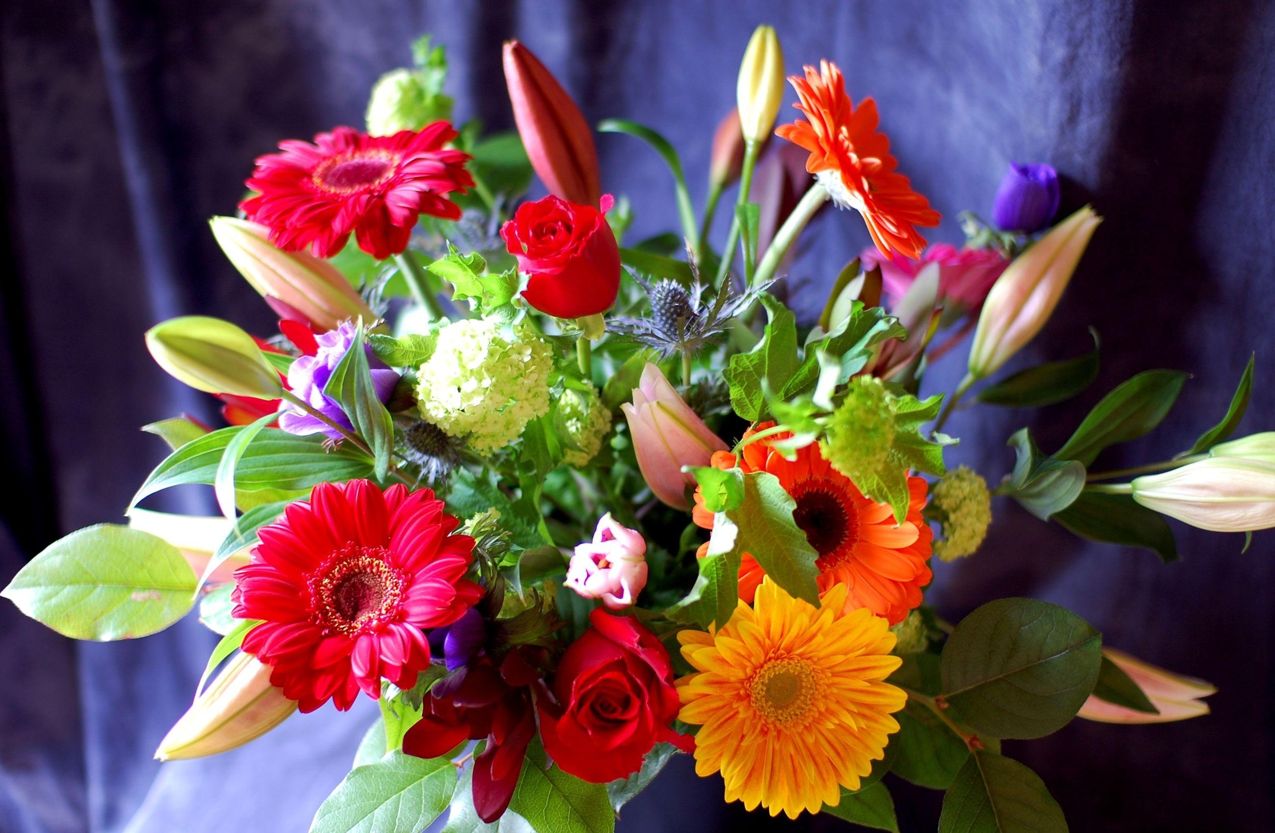 gerberas, flowers, registration, roses, lilies, typography, bouquet, gorgeous, chic, hydrangea