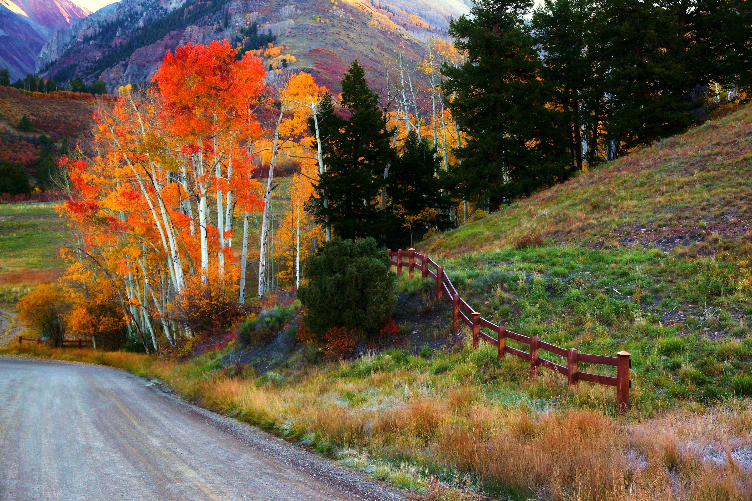 Free download wallpaper Road, Tree, Fall, Photography on your PC desktop