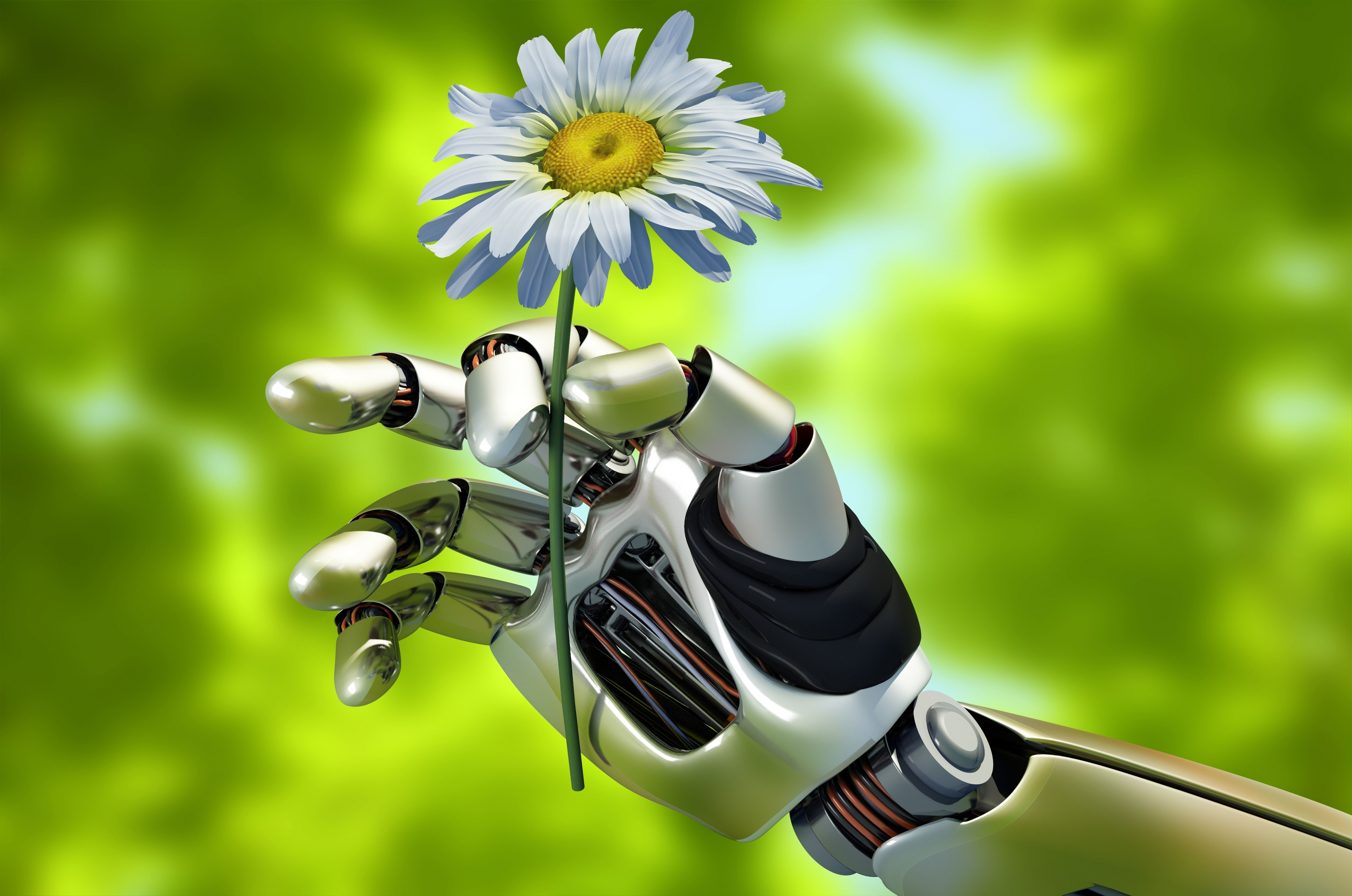 Download mobile wallpaper Flower, Hand, Robot, Daisy, Man Made for free.