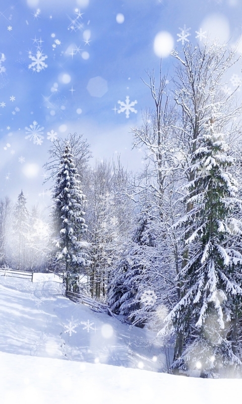 Download mobile wallpaper Winter, Snow, Forest, Tree, Artistic, Snowflake for free.