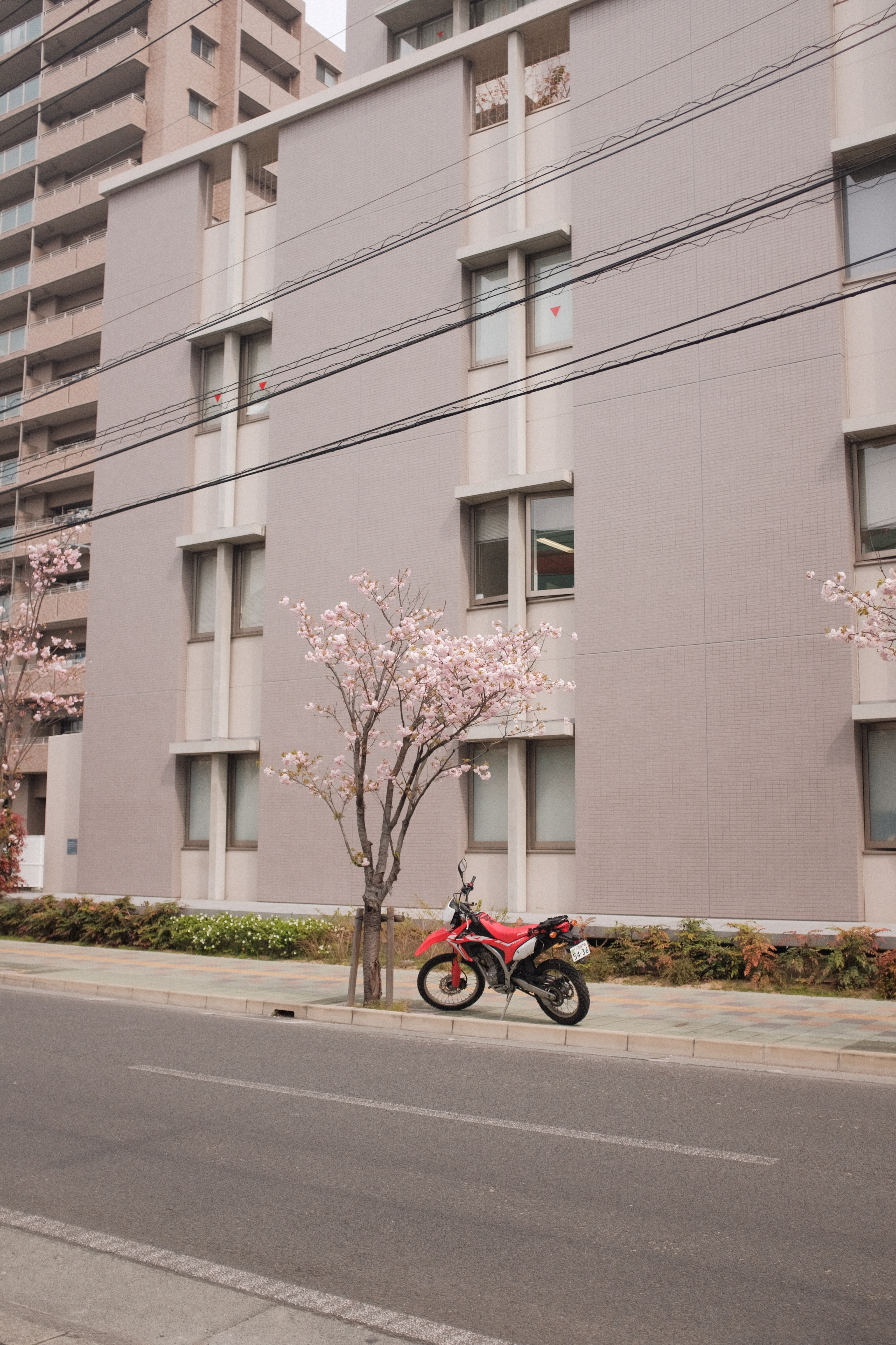 無料モバイル壁紙自転車, 赤い, 通り, オートバイをダウンロードします。