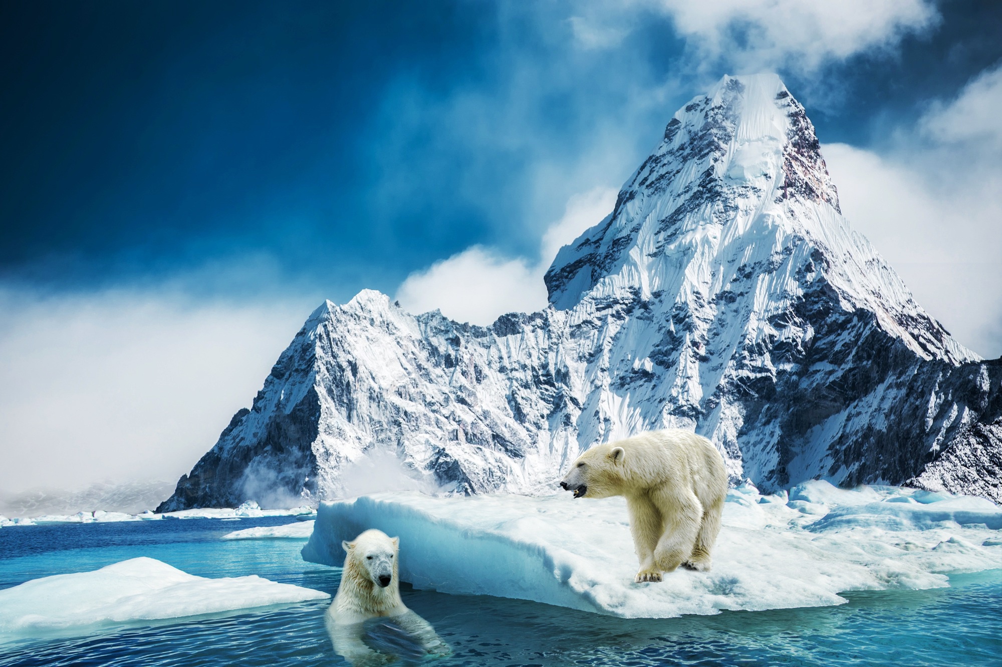 Скачать обои бесплатно Животные, Медведи, Гора, Медведь, Полярный Медведь, Лёд картинка на рабочий стол ПК