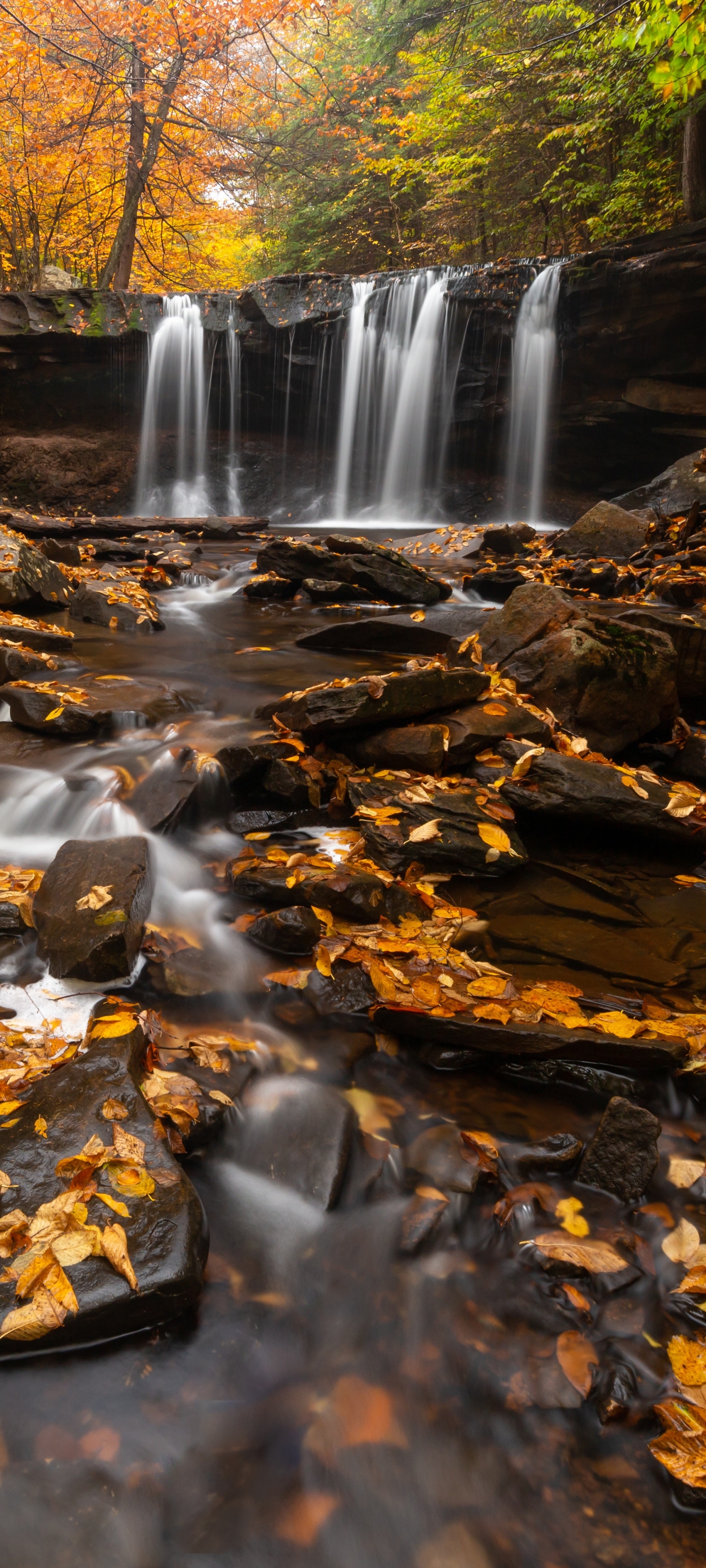 Laden Sie das Wasserfälle, Wasserfall, Strom, Pennsylvania, Erde/natur-Bild kostenlos auf Ihren PC-Desktop herunter