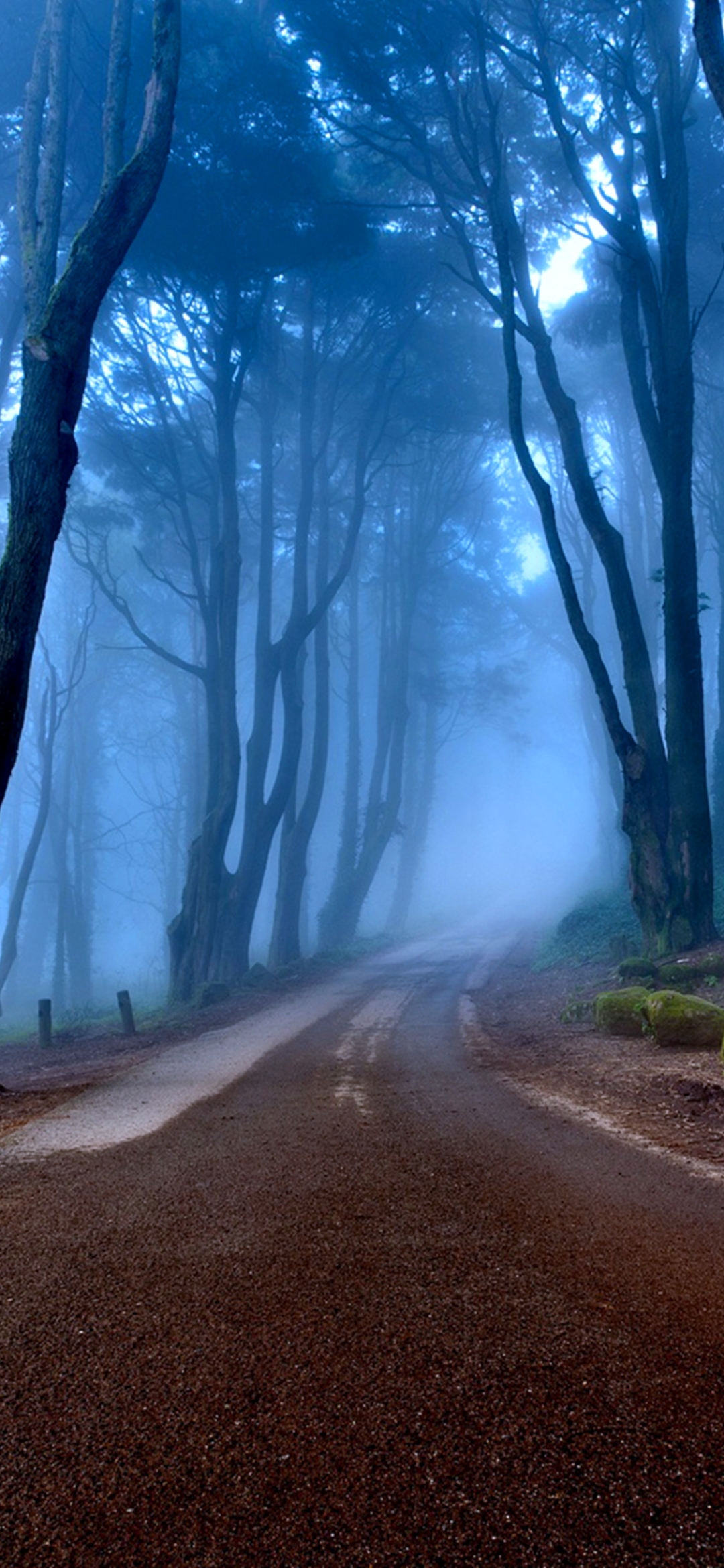 Download mobile wallpaper Nature, Road, Forest, Tree, Fog, Man Made for free.