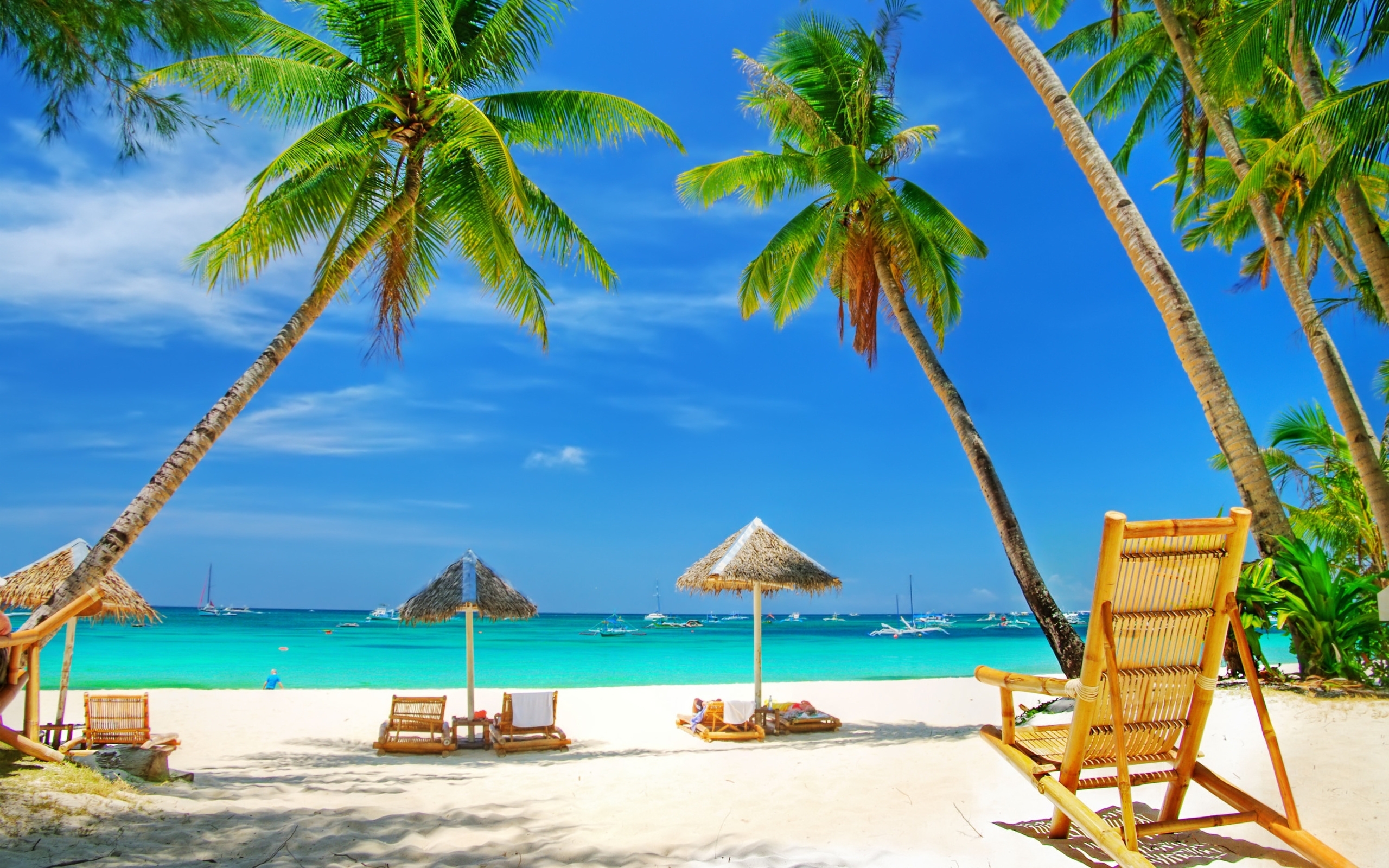 Laden Sie das Sea, Landschaft, Palms, Strand-Bild kostenlos auf Ihren PC-Desktop herunter