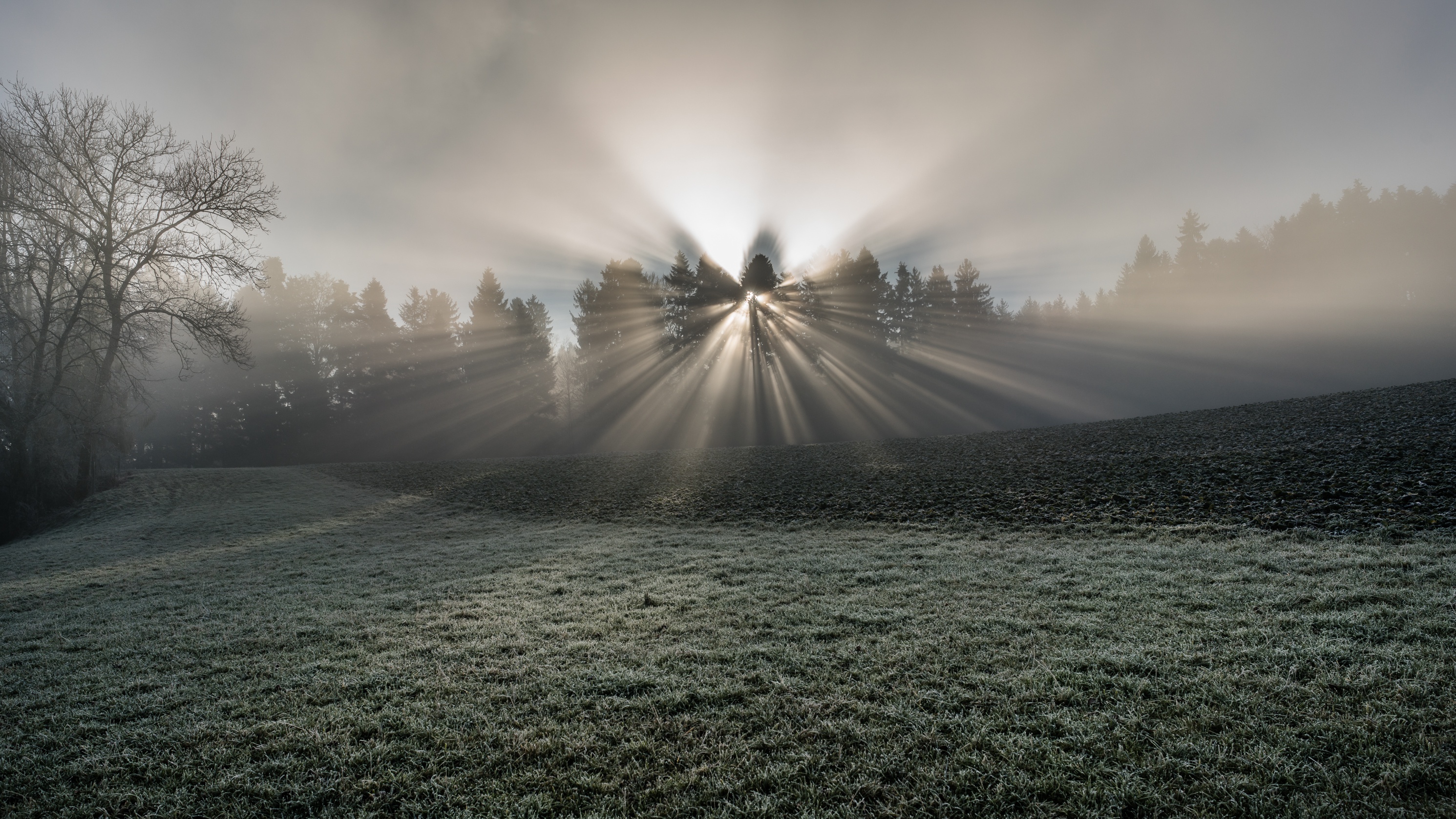 Téléchargez gratuitement l'image Rayon De Soleil, La Nature, Terre/nature sur le bureau de votre PC