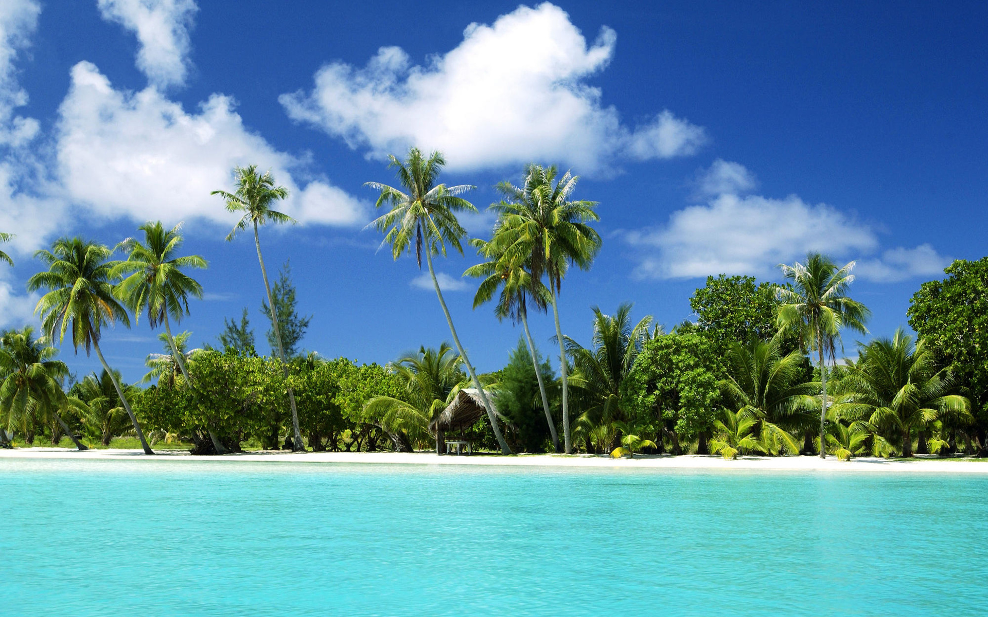 Laden Sie das Strand, Fotografie-Bild kostenlos auf Ihren PC-Desktop herunter