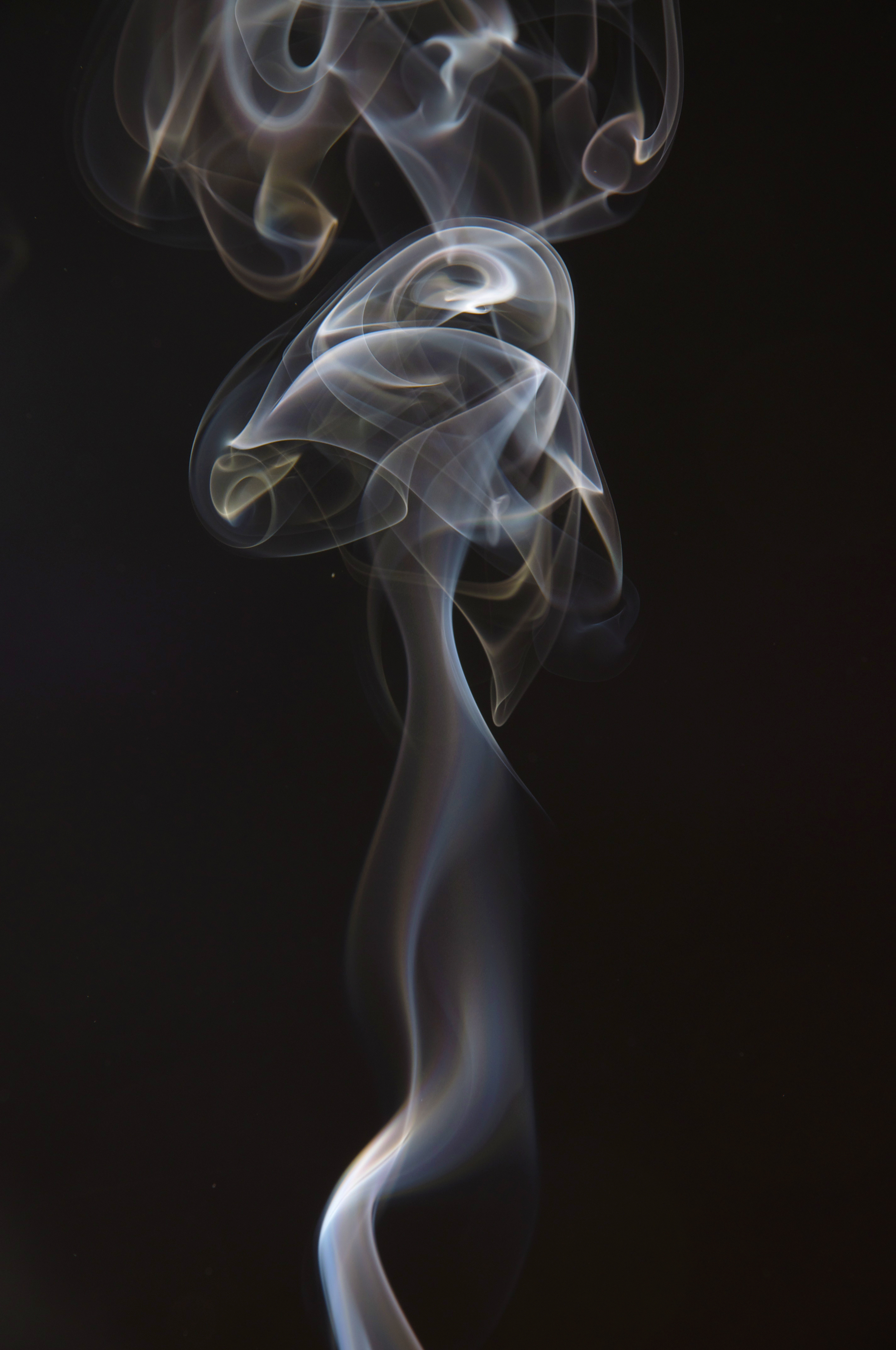puffs of smoke, dark background, abstract, smoke, shroud, tangles of smoke
