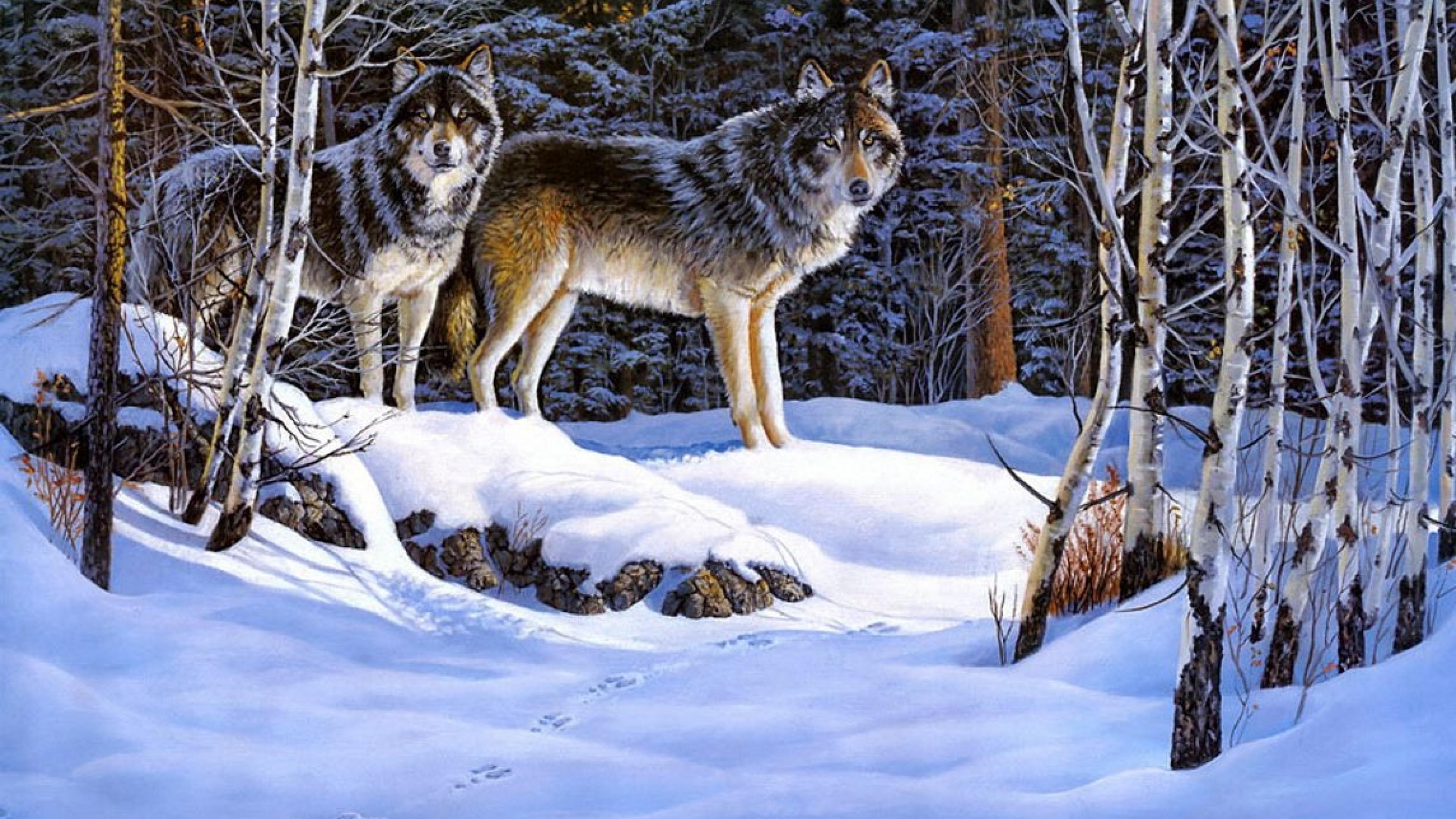 Laden Sie das Winter, Schnee, Wald, Baum, Wolf, Malerei, Künstlerisch-Bild kostenlos auf Ihren PC-Desktop herunter