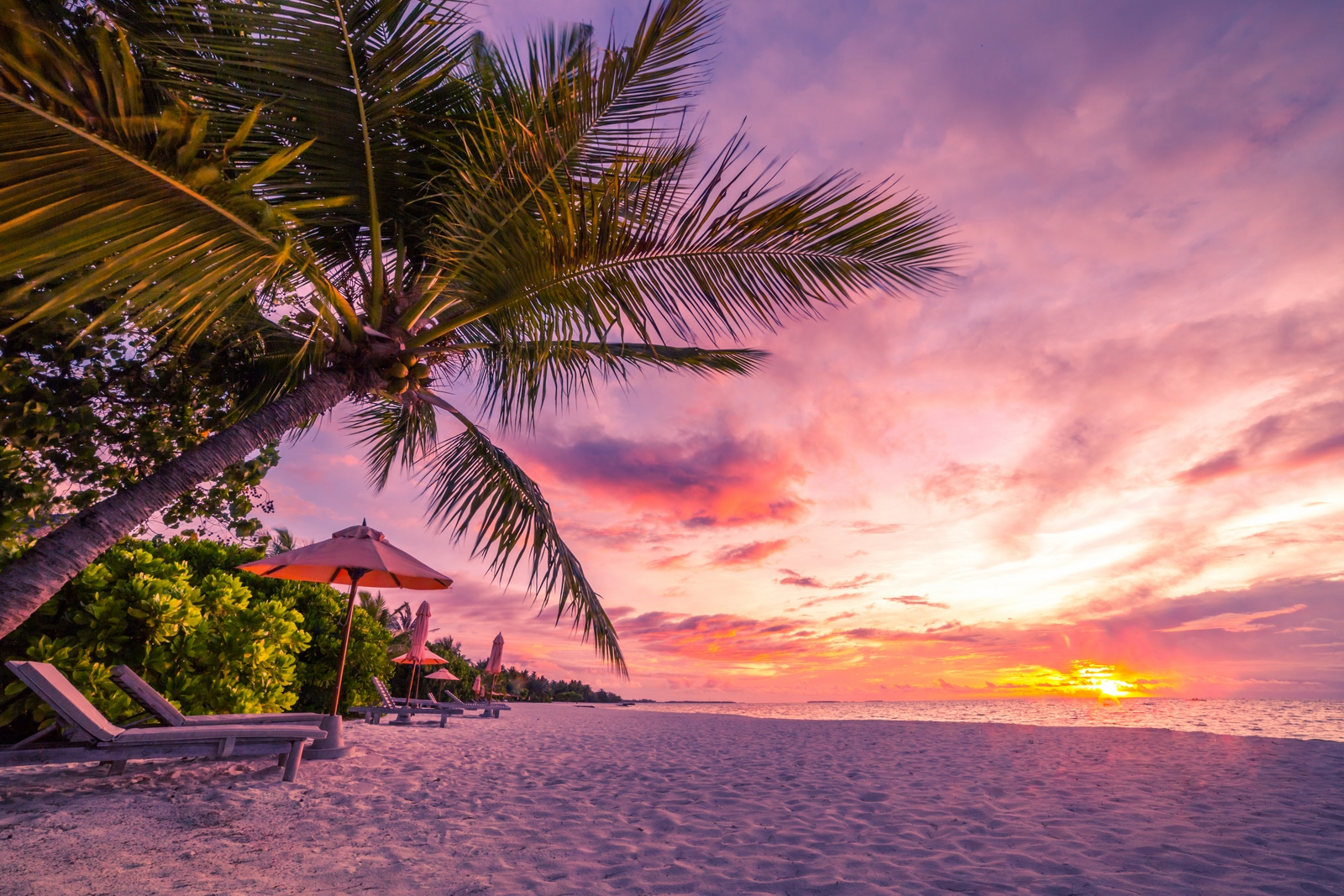 Laden Sie das Strand, Horizont, Ozean, Palme, Erde, Tropisch, Fotografie, Meer, Sonnenuntergang-Bild kostenlos auf Ihren PC-Desktop herunter