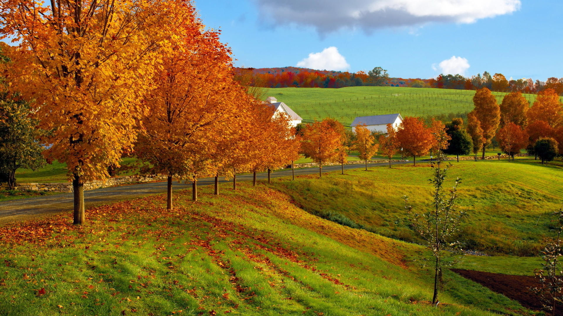 Handy-Wallpaper Landschaft, Herbst, Fotografie kostenlos herunterladen.