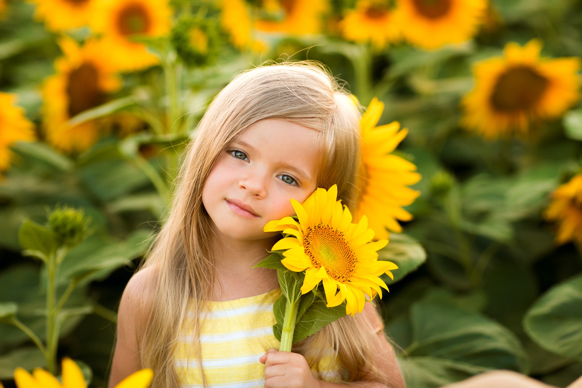 Download mobile wallpaper Flower, Child, Blonde, Sunflower, Photography, Blue Eyes, Yellow Flower, Little Girl for free.