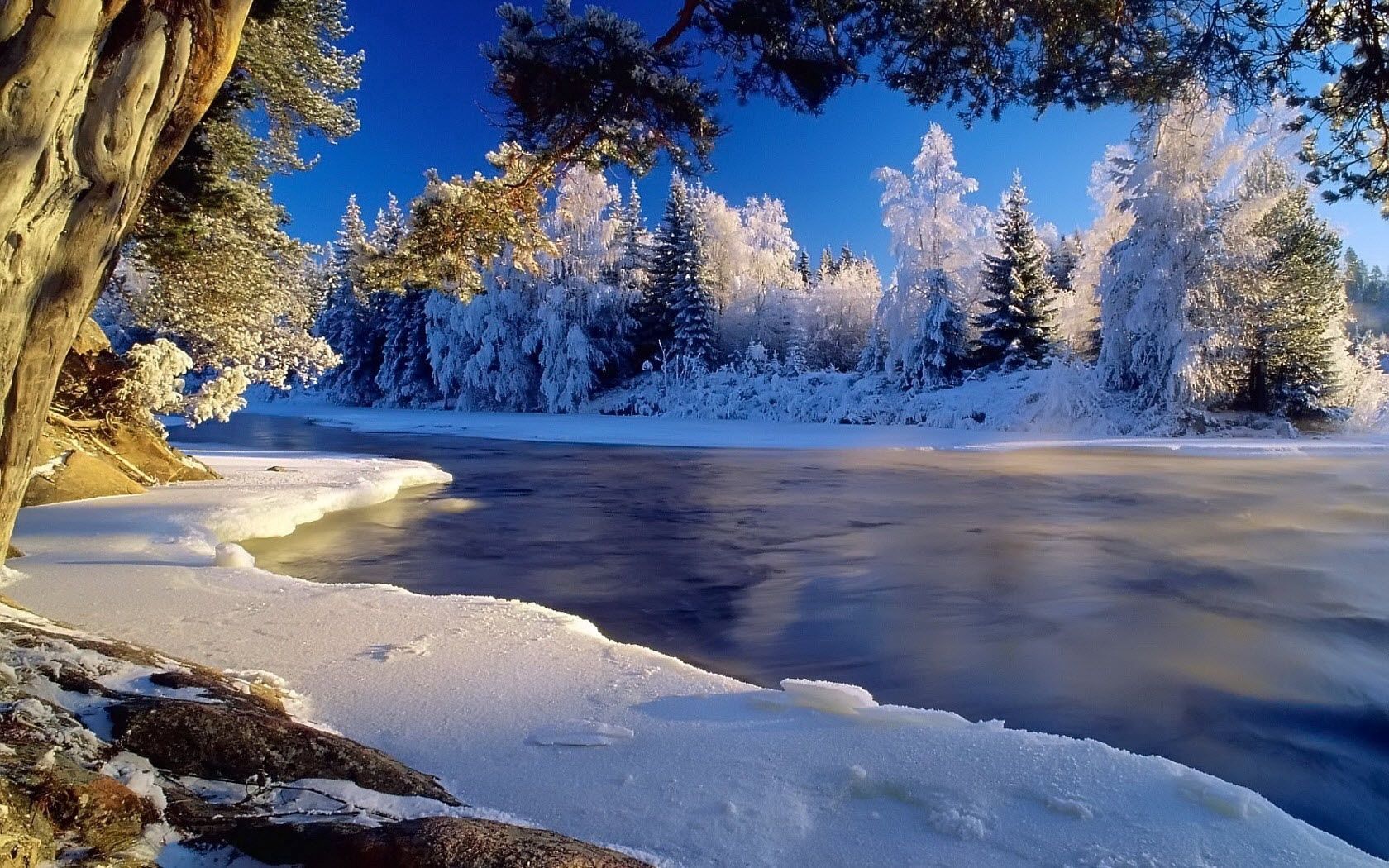 nature, rivers, trees, ice, shore, flow, frost, hoarfrost, shores