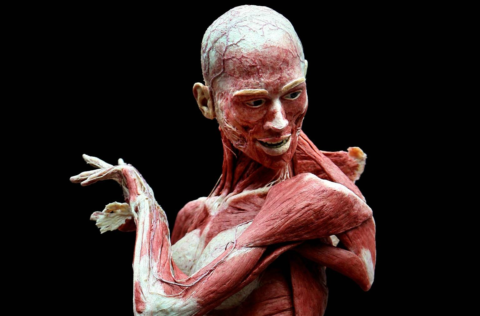Téléchargez des papiers peints mobile Anatomie, Artistique gratuitement.