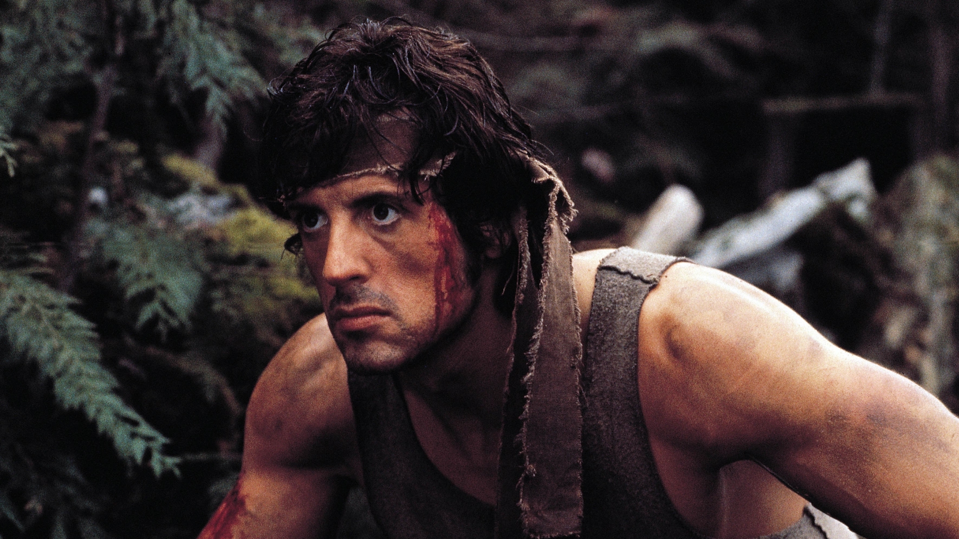 movie, first blood, sylvester stallone