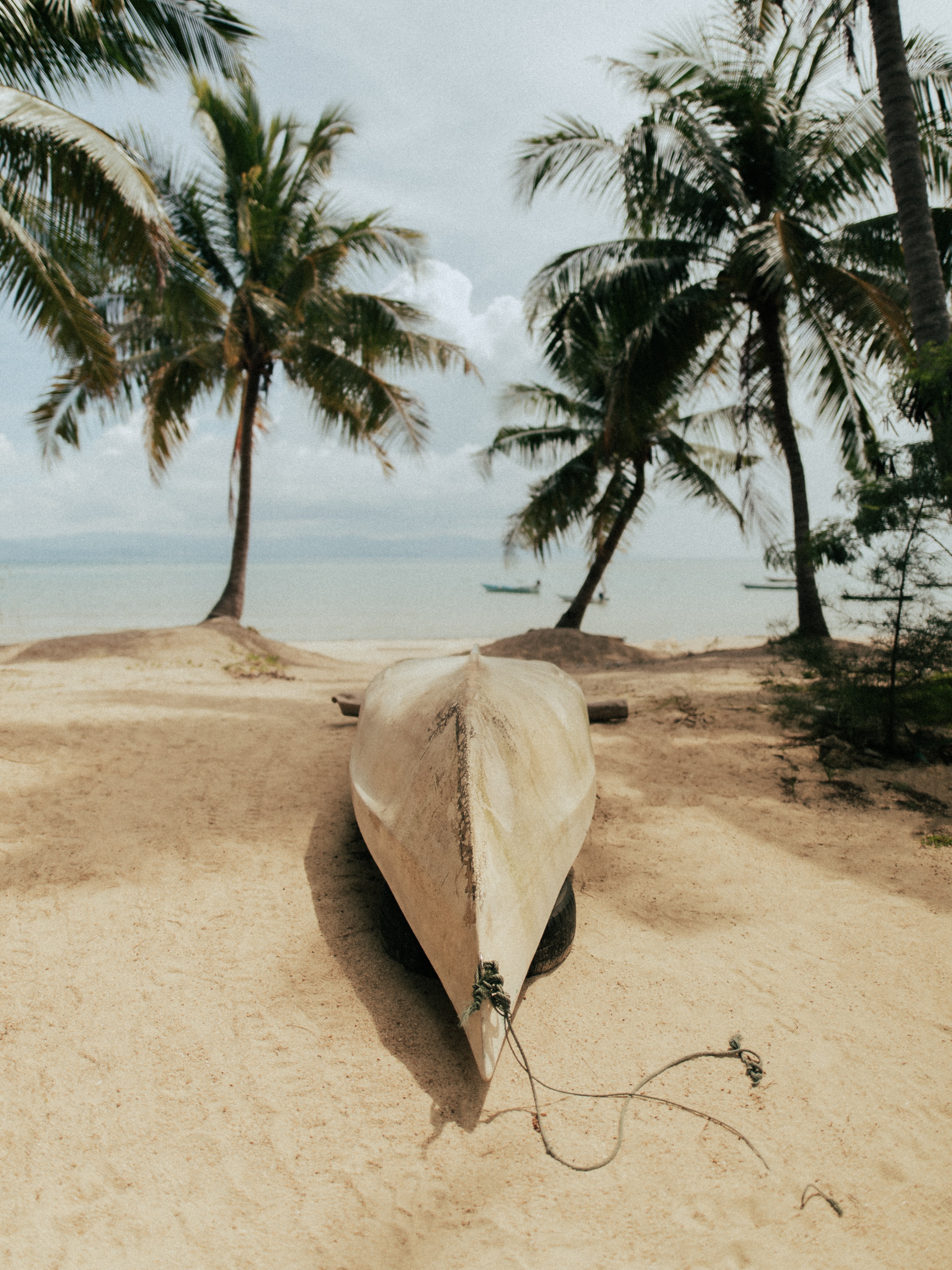 Handy-Wallpaper Natur, Boot, Ein Boot, Palms, Sand, Sea, Strand kostenlos herunterladen.