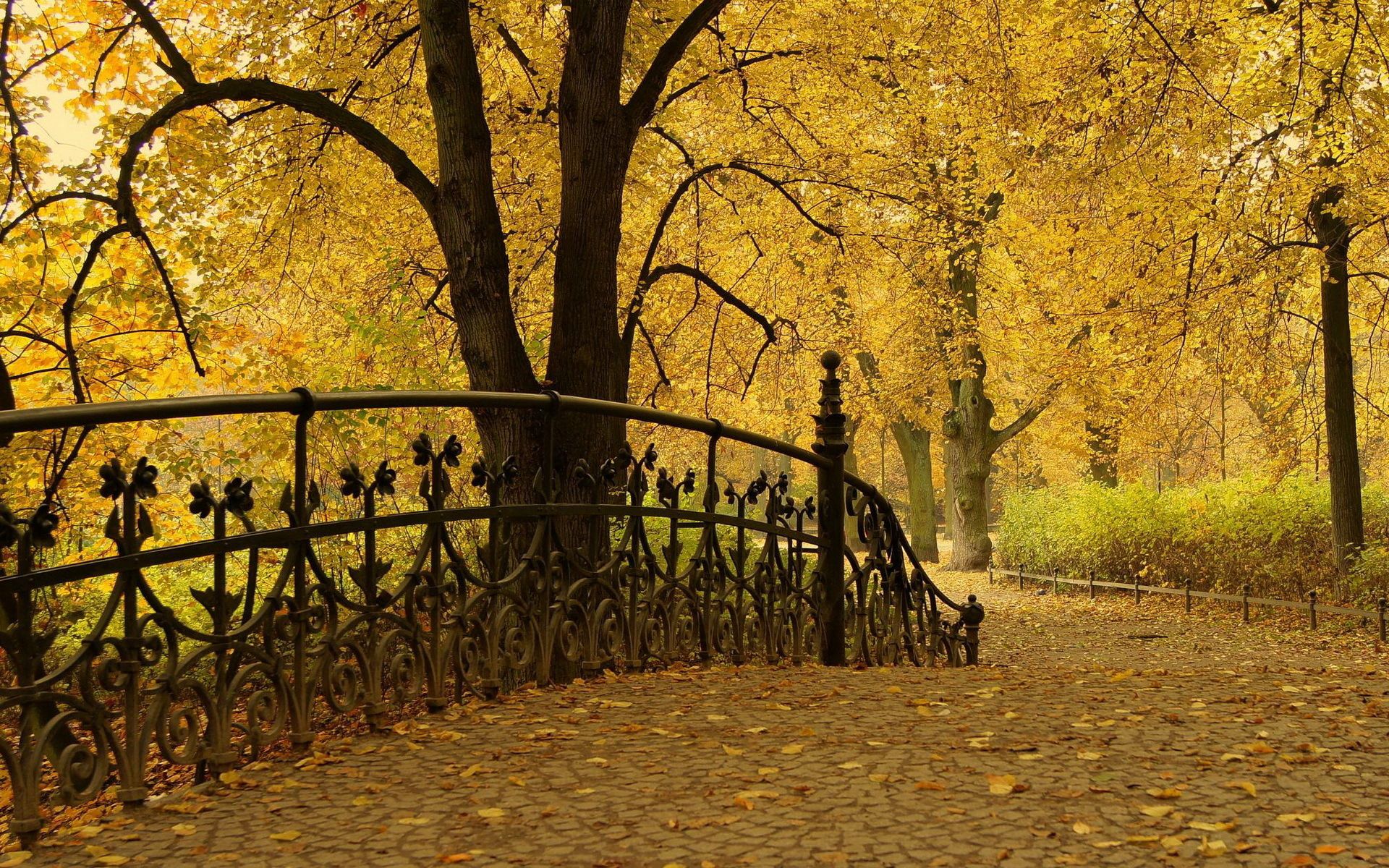 park, nature, trees, autumn, leaves, bridge, railings, handrail High Definition image