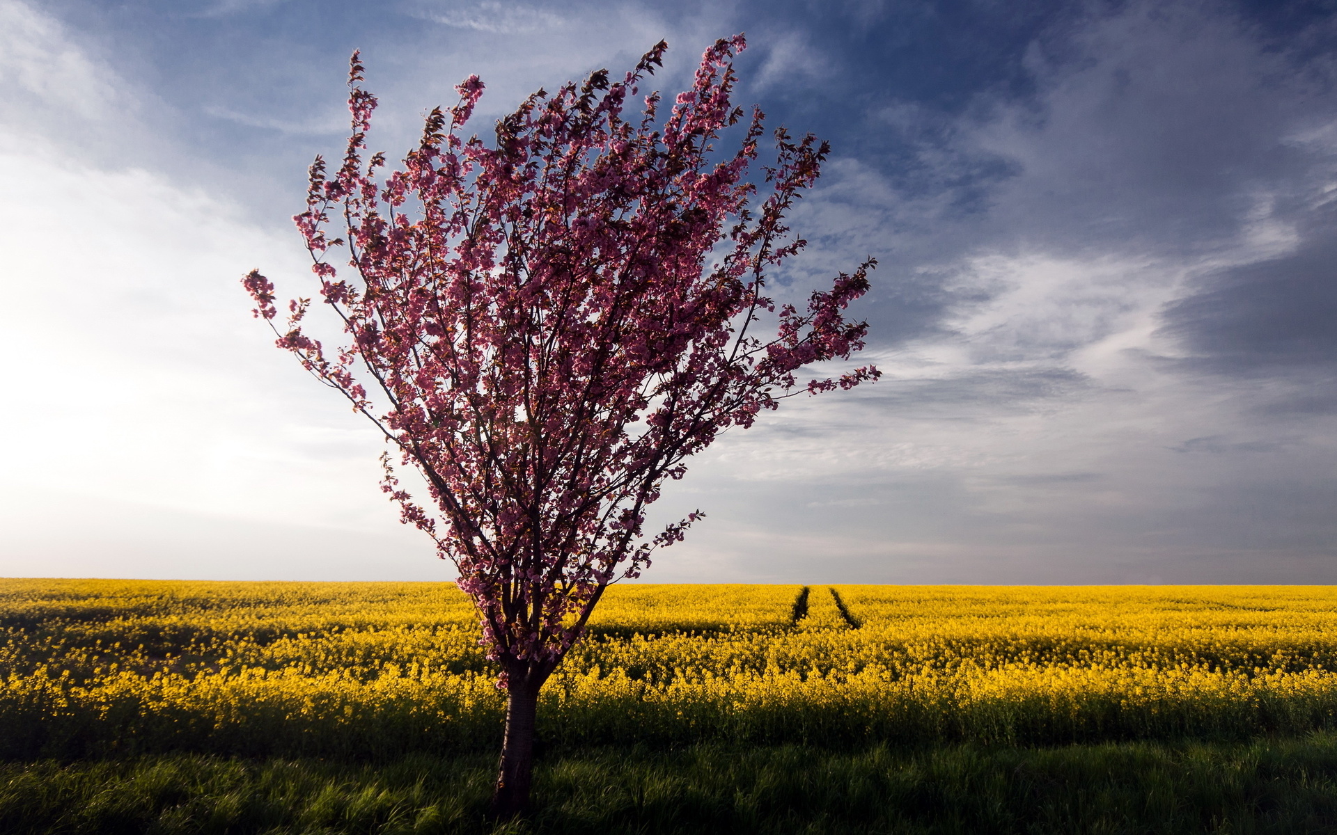 Téléchargez gratuitement l'image Paysage, Terre/nature sur le bureau de votre PC