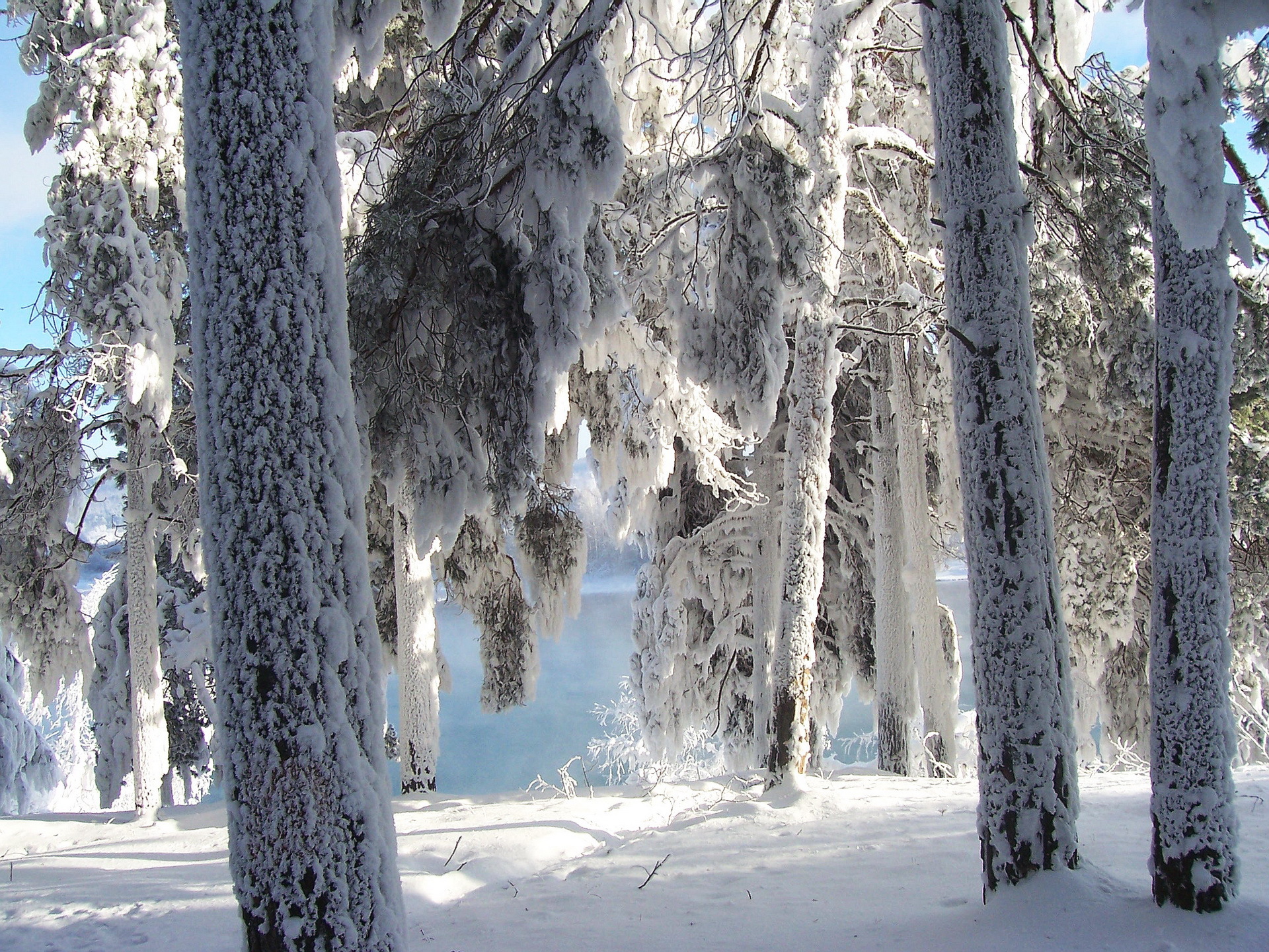 Téléchargez gratuitement l'image Hiver, Terre/nature sur le bureau de votre PC