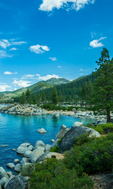 Download mobile wallpaper Nature, Lakes, Lake, Forest, Tree, Earth, Lake Tahoe for free.