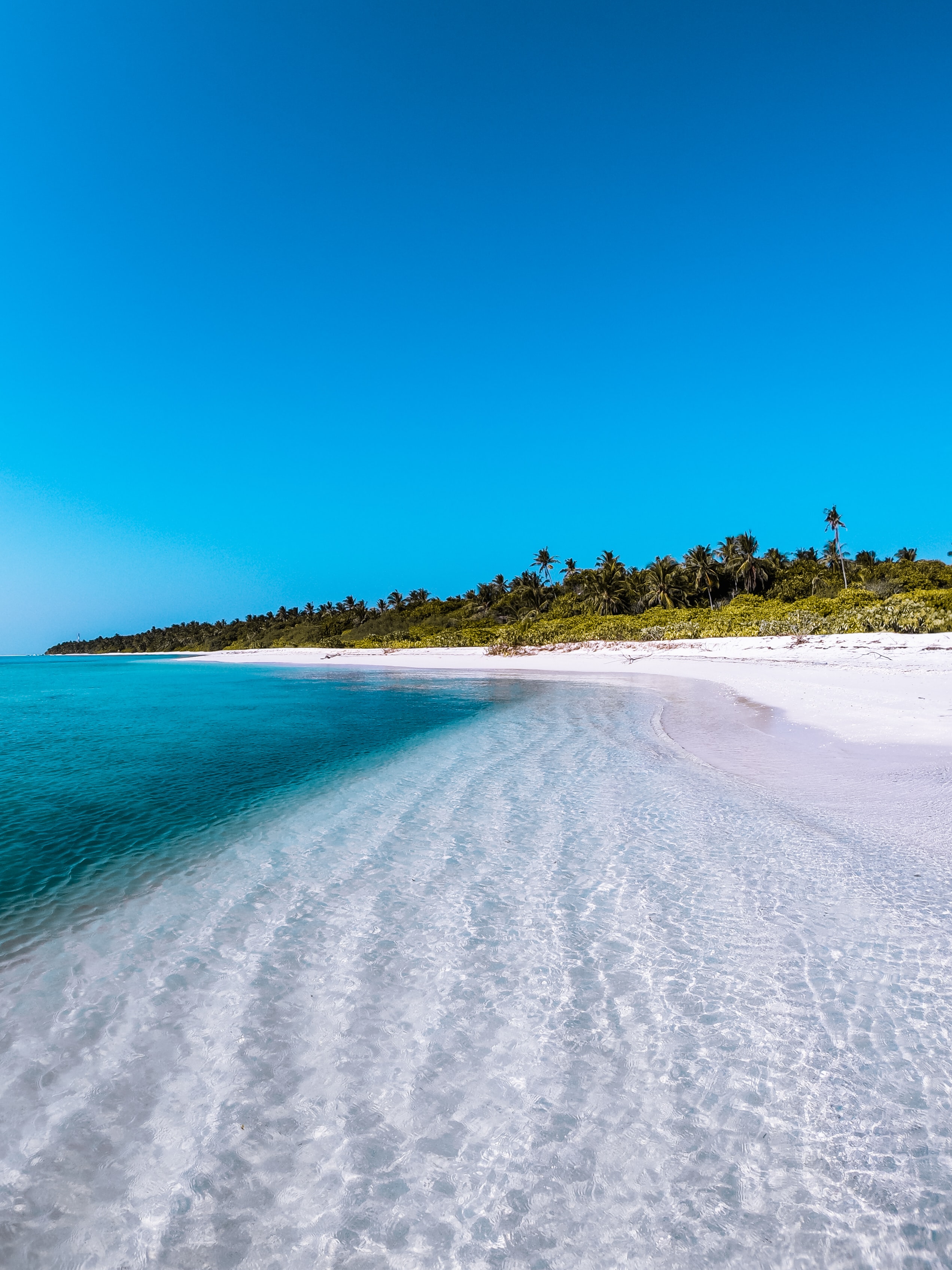 beach, nature, palms, shore, bank, island, maldives Panoramic Wallpaper