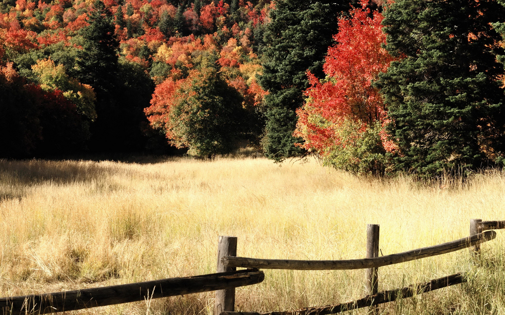 Descarga gratuita de fondo de pantalla para móvil de Otoño, Tierra/naturaleza.