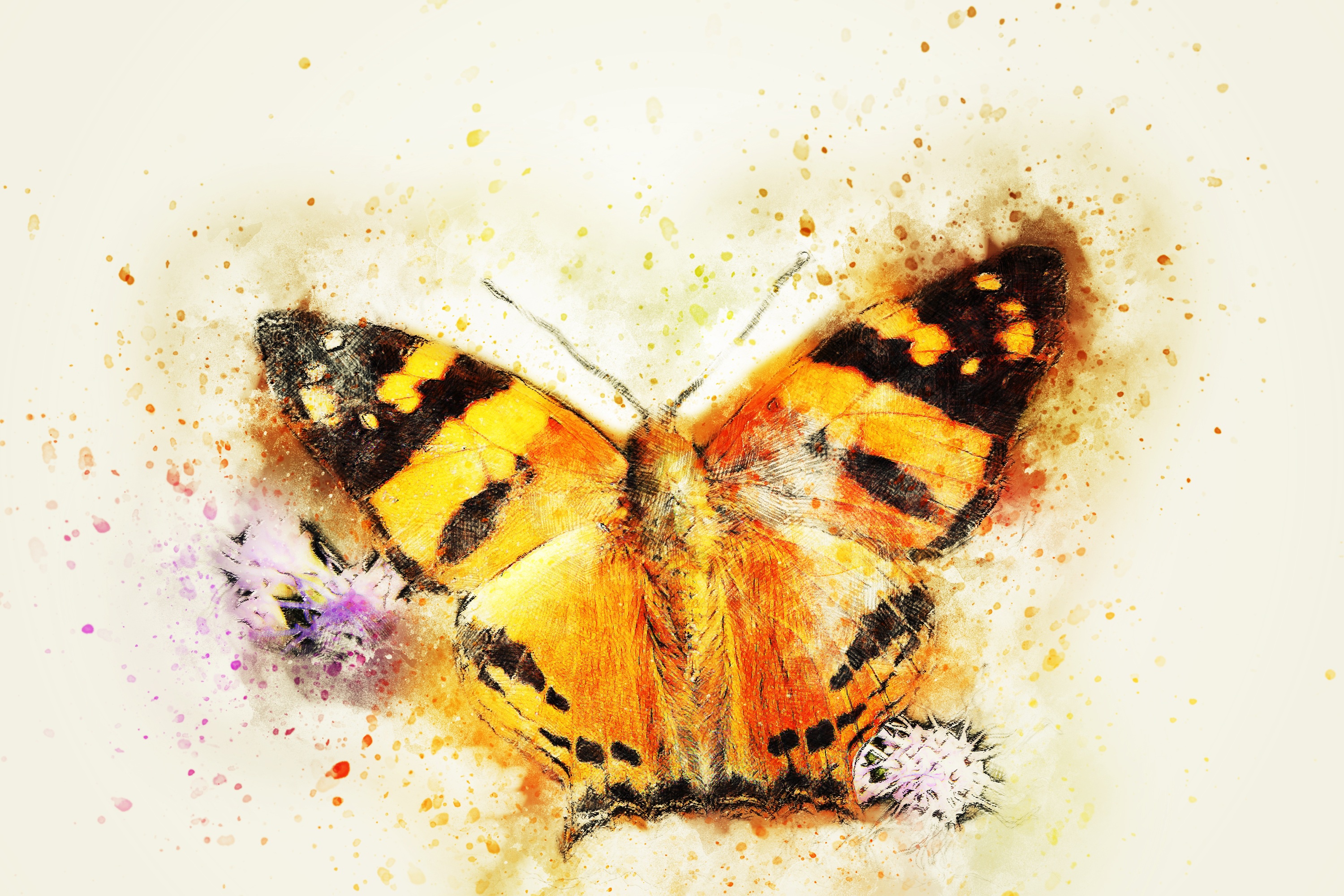 無料モバイル壁紙動物, 蝶, 虫をダウンロードします。
