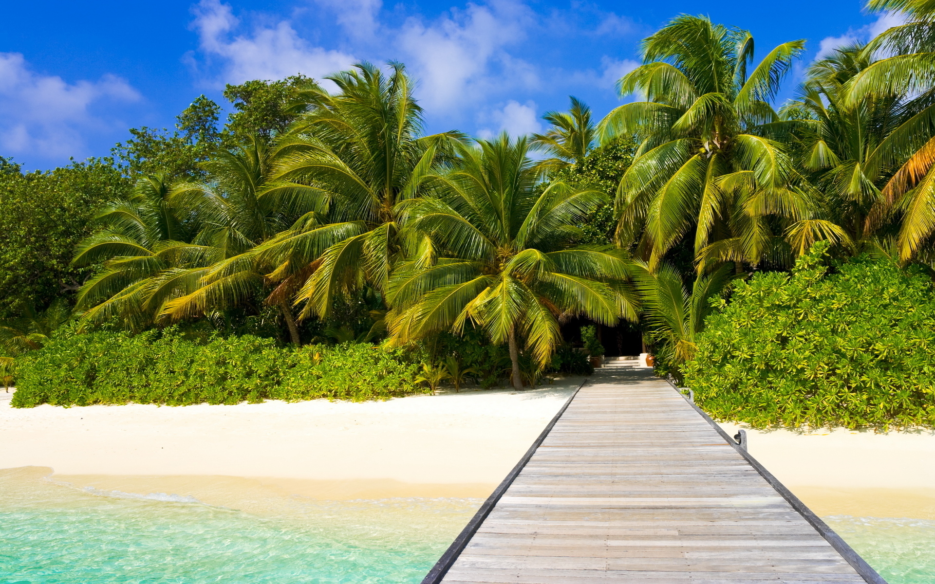 Download mobile wallpaper Beach, Sand, Tree, Path, Tropical, Photography, Palm Tree for free.