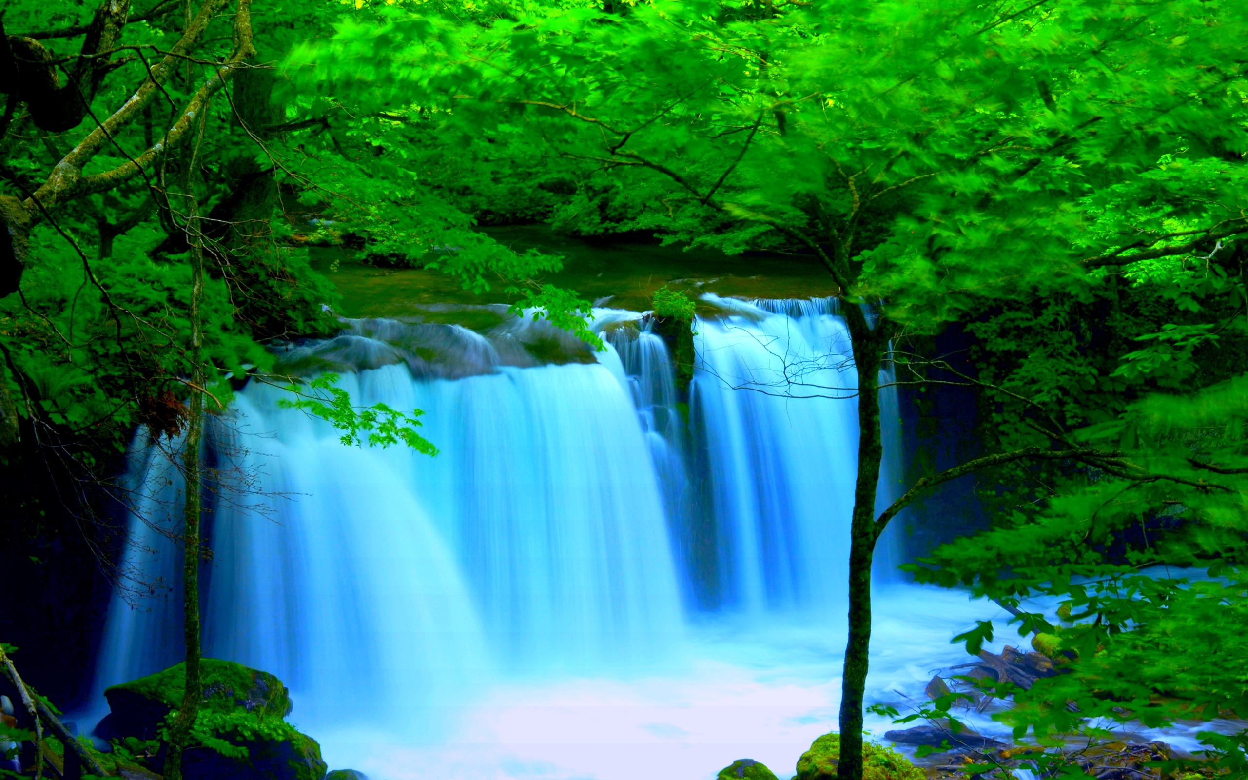 Download mobile wallpaper Waterfalls, Waterfall, Forest, Tree, Earth for free.