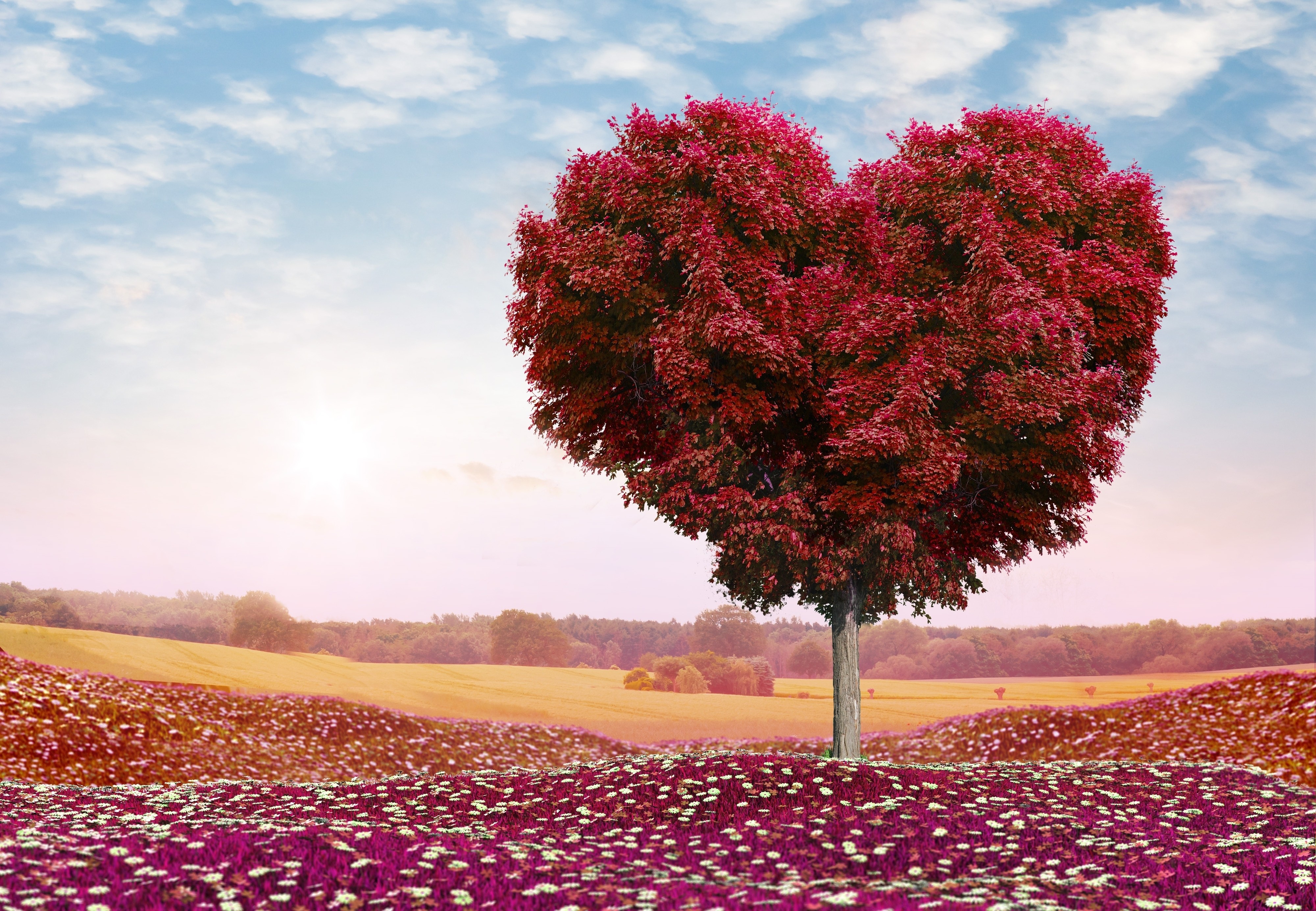 tree, heart, love, leaves, wood, photoshop