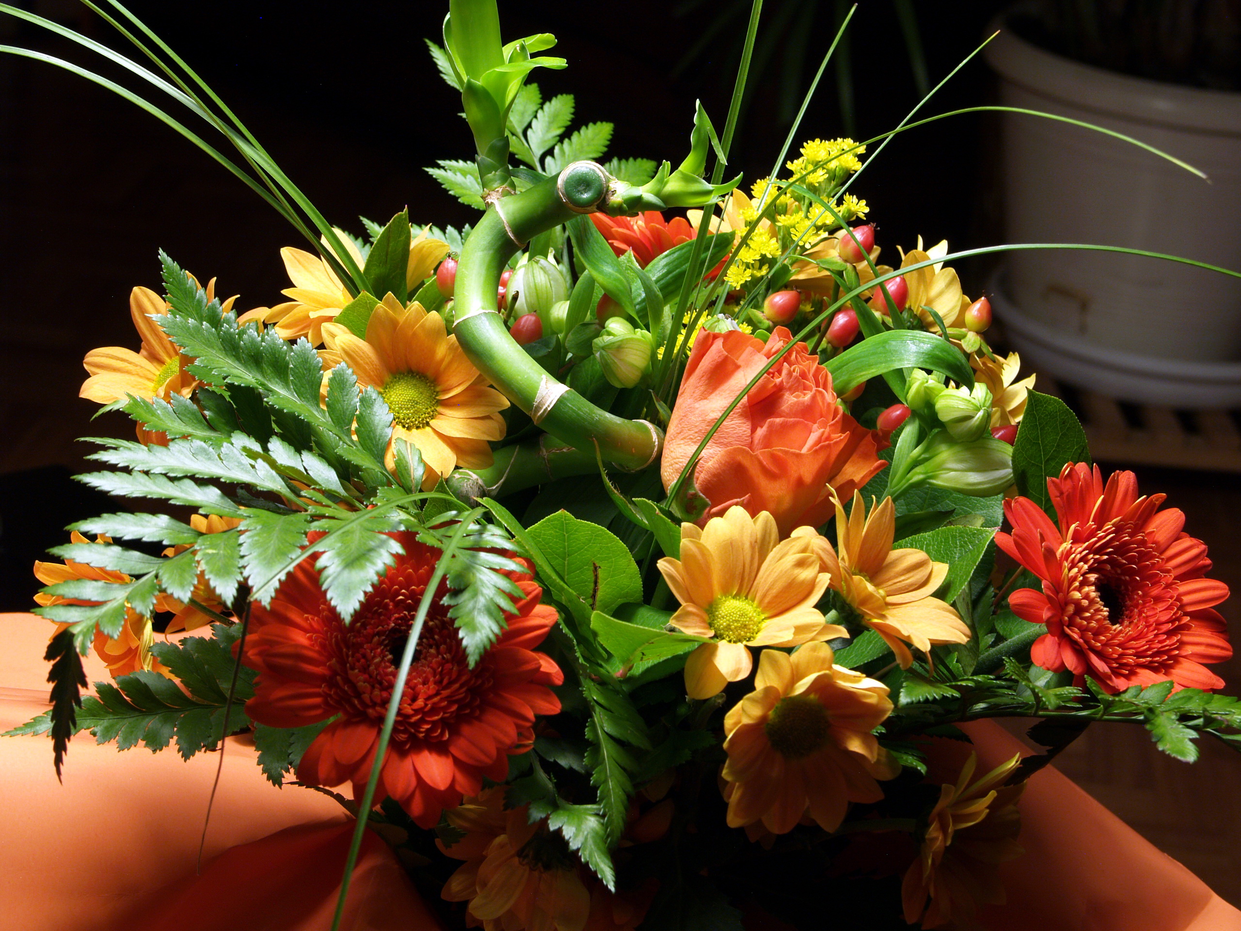 Laden Sie das Blumen, Blume, Erde/natur, Stillleben-Bild kostenlos auf Ihren PC-Desktop herunter