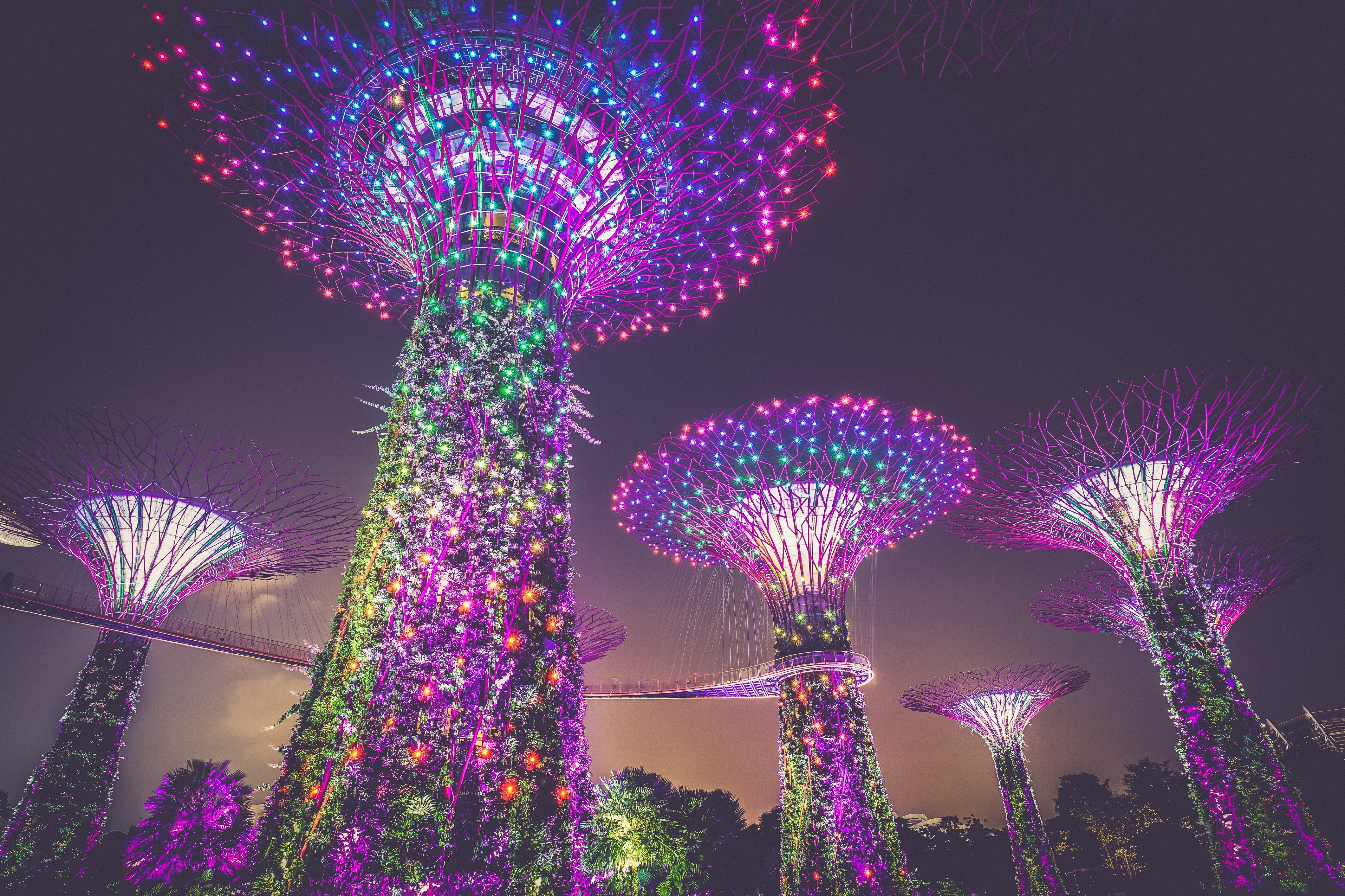 141080 скачать обои сингапур, города, украшение, город, освещение, искусственные деревья - заставки и картинки бесплатно