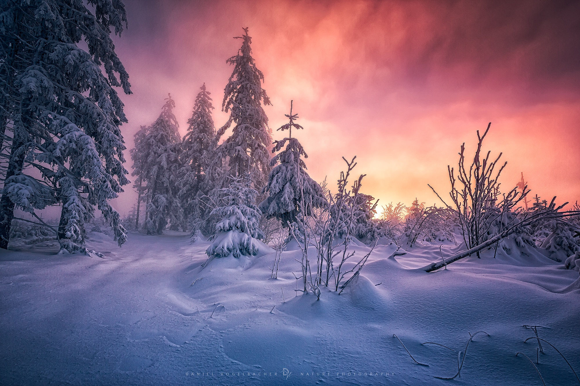 Download mobile wallpaper Winter, Sunset, Sky, Snow, Forest, Tree, Earth for free.