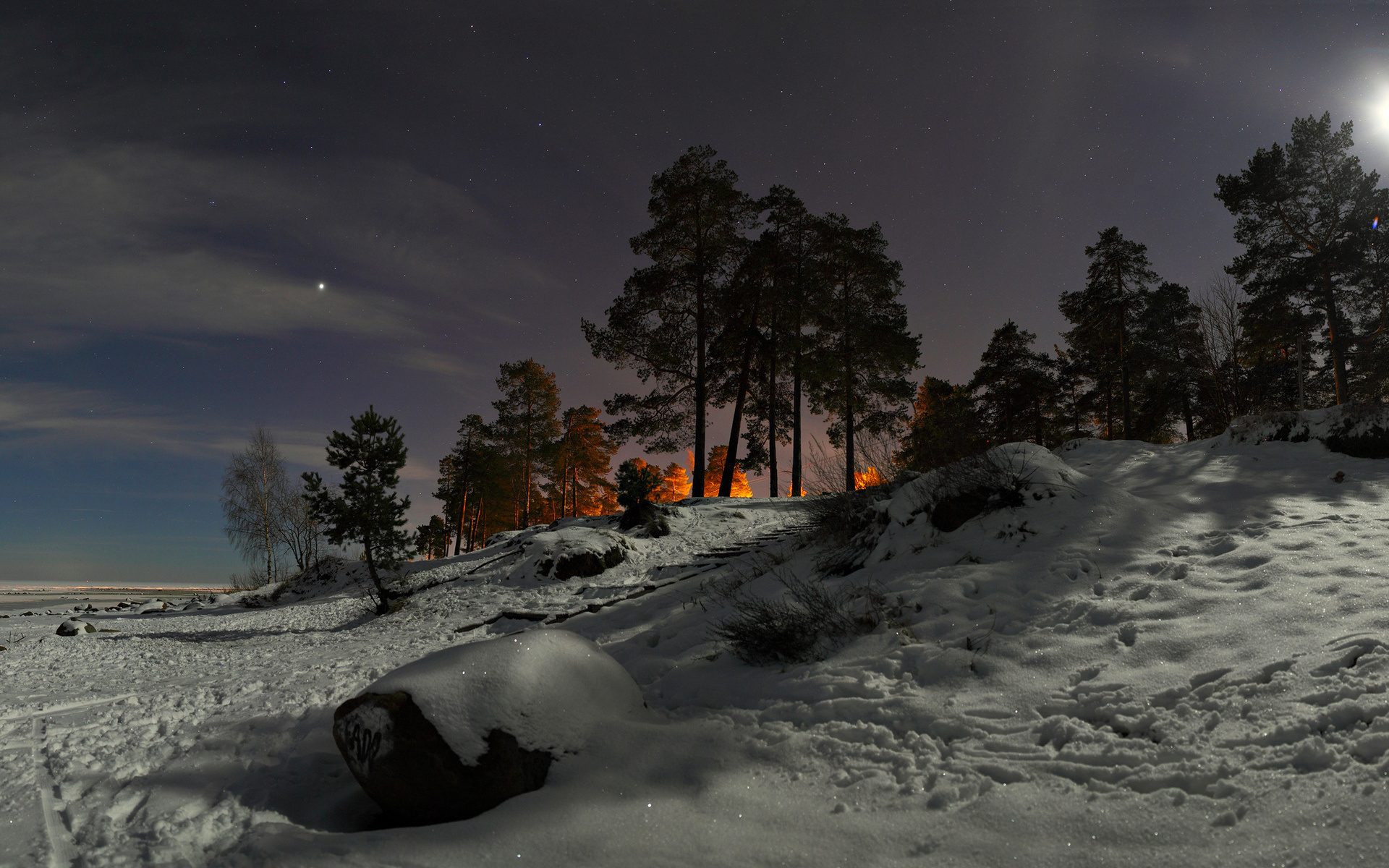 Descarga gratis la imagen Invierno, Noche, Nieve, Árbol, Tierra/naturaleza en el escritorio de tu PC