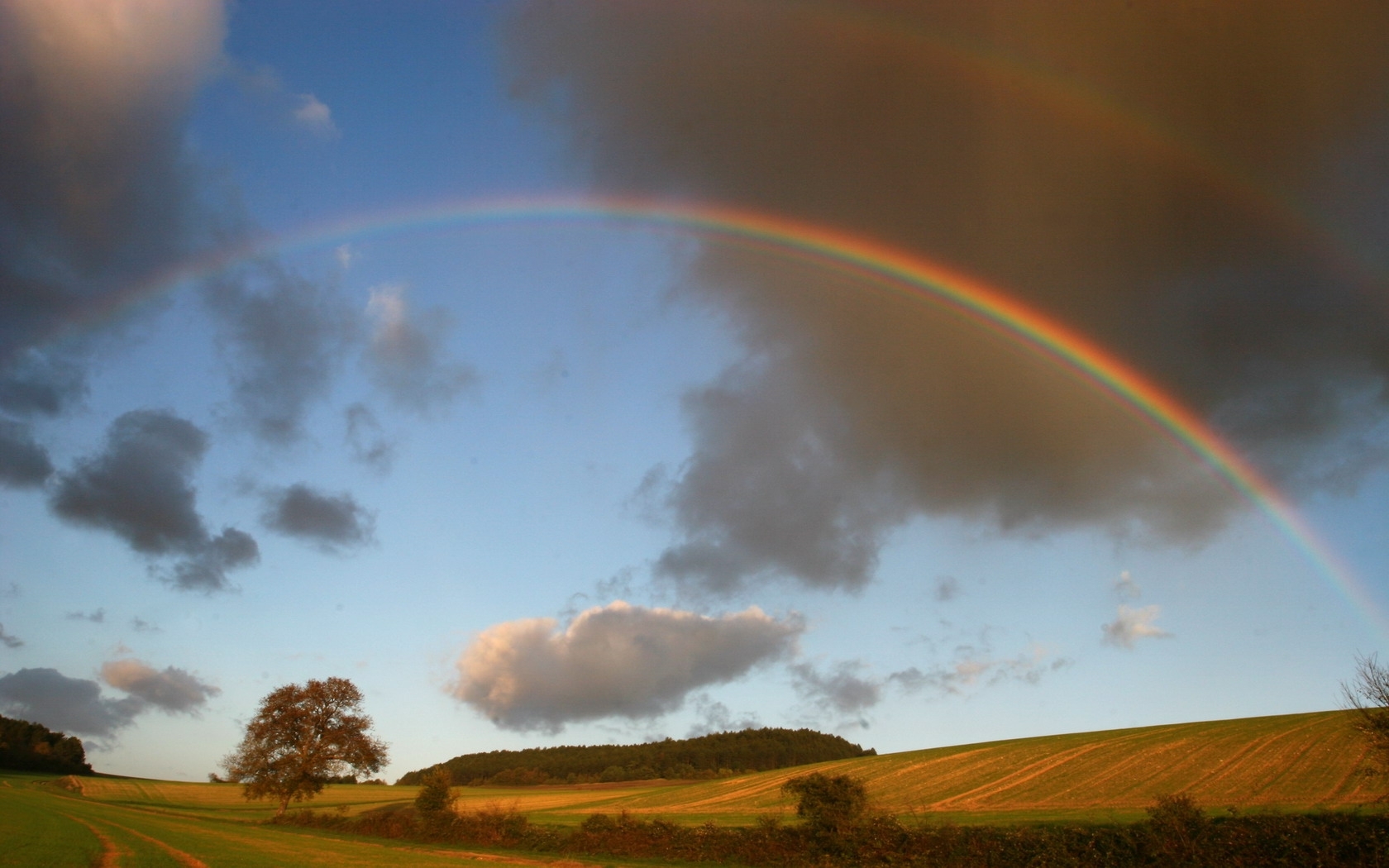 Free download wallpaper Nature, Landscape, Rainbow, Fields on your PC desktop