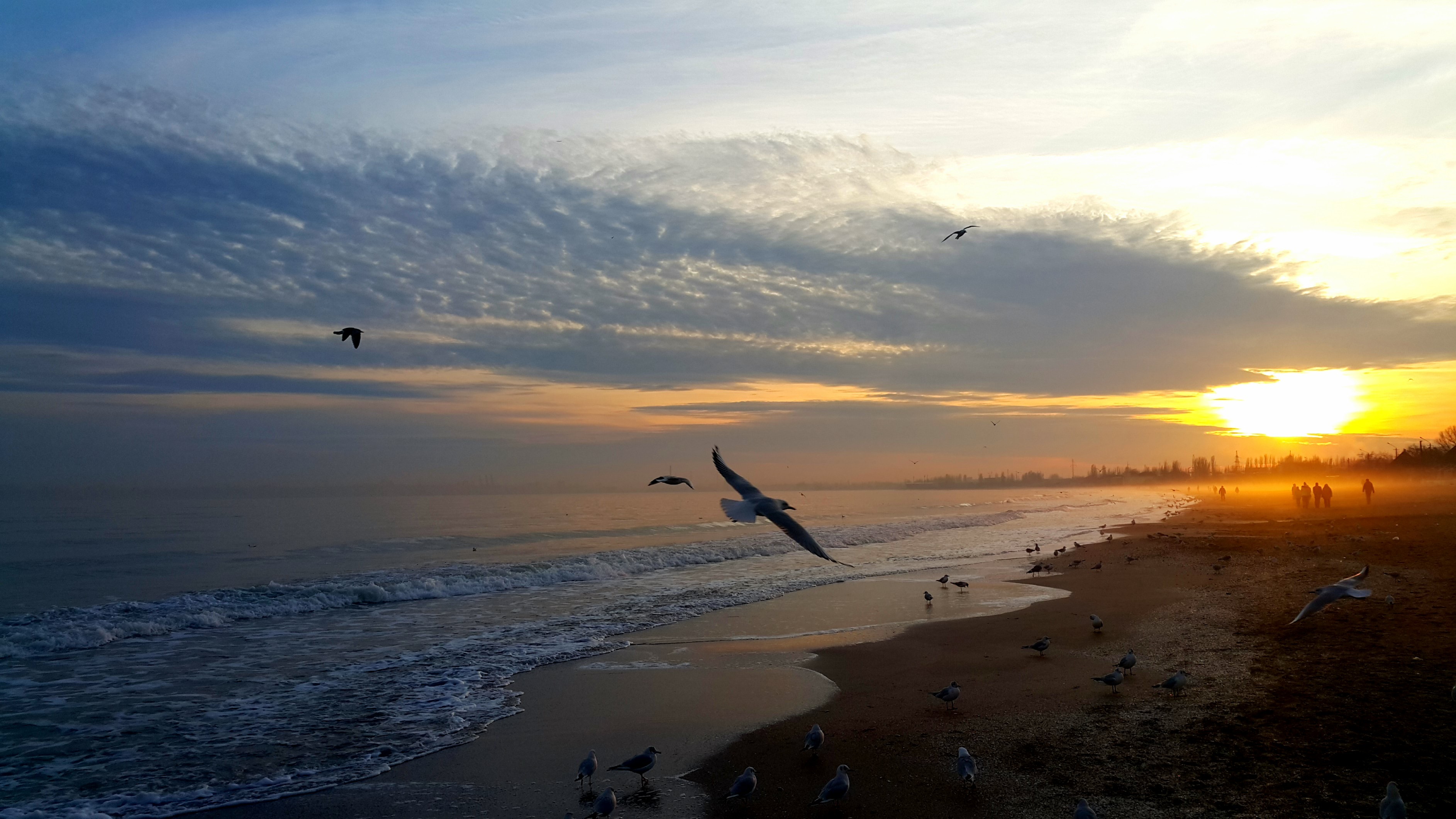 shore, birds, sunset, people, nature, sky, sea, bank iphone wallpaper