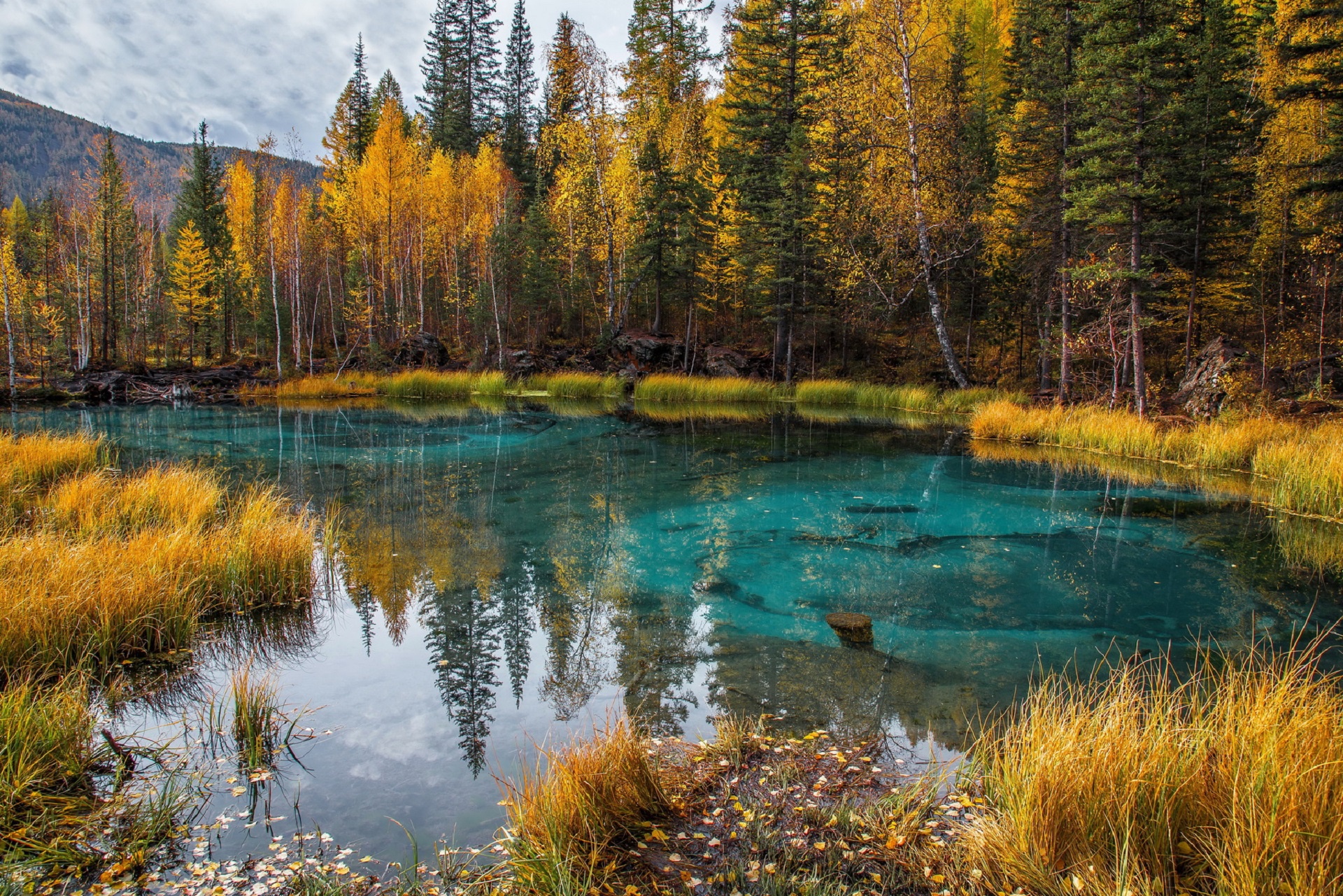 Baixe gratuitamente a imagem Natureza, Outono, Lago, Floresta, Terra/natureza, Reflecção na área de trabalho do seu PC