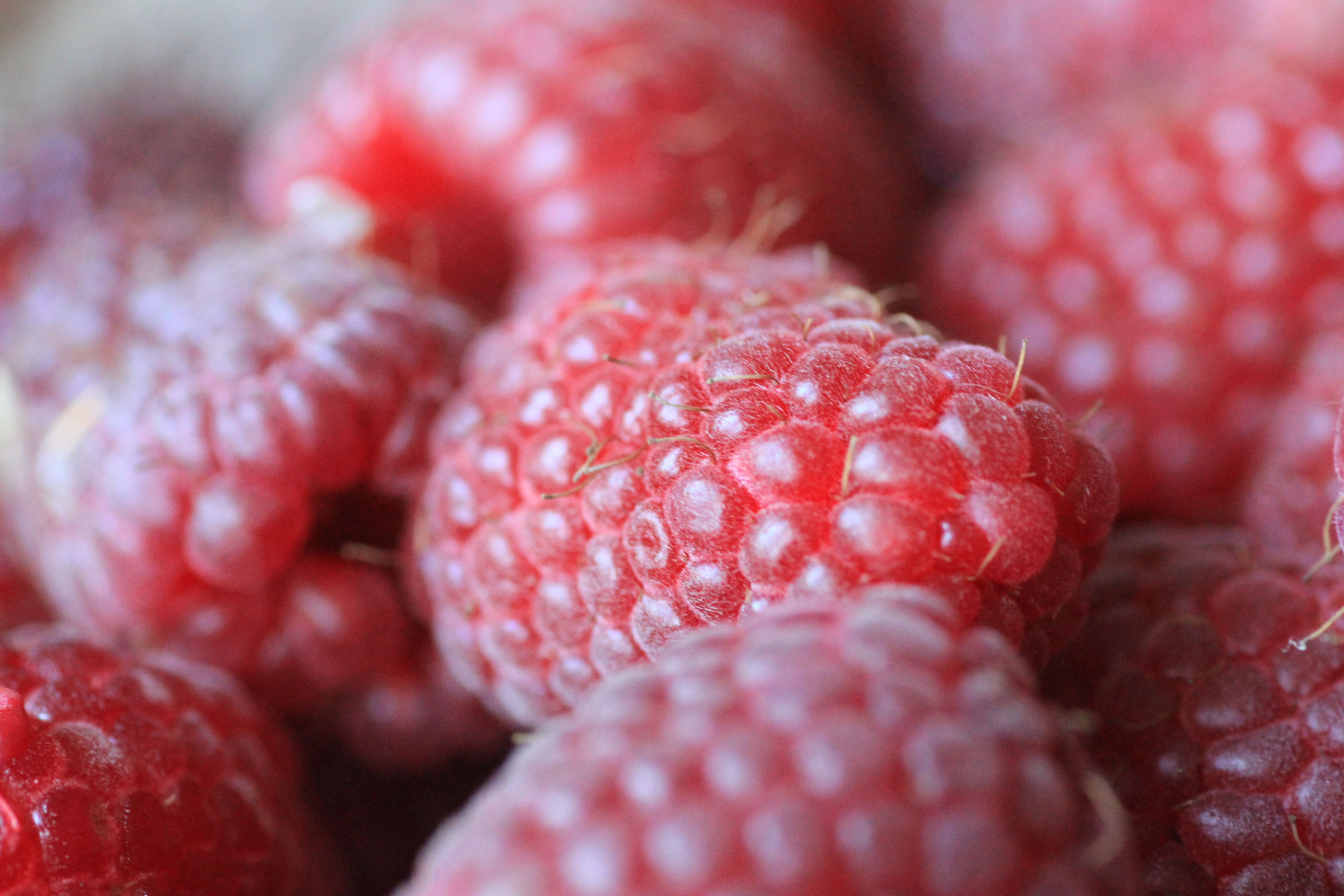 Free download wallpaper Fruits, Food, Raspberry on your PC desktop