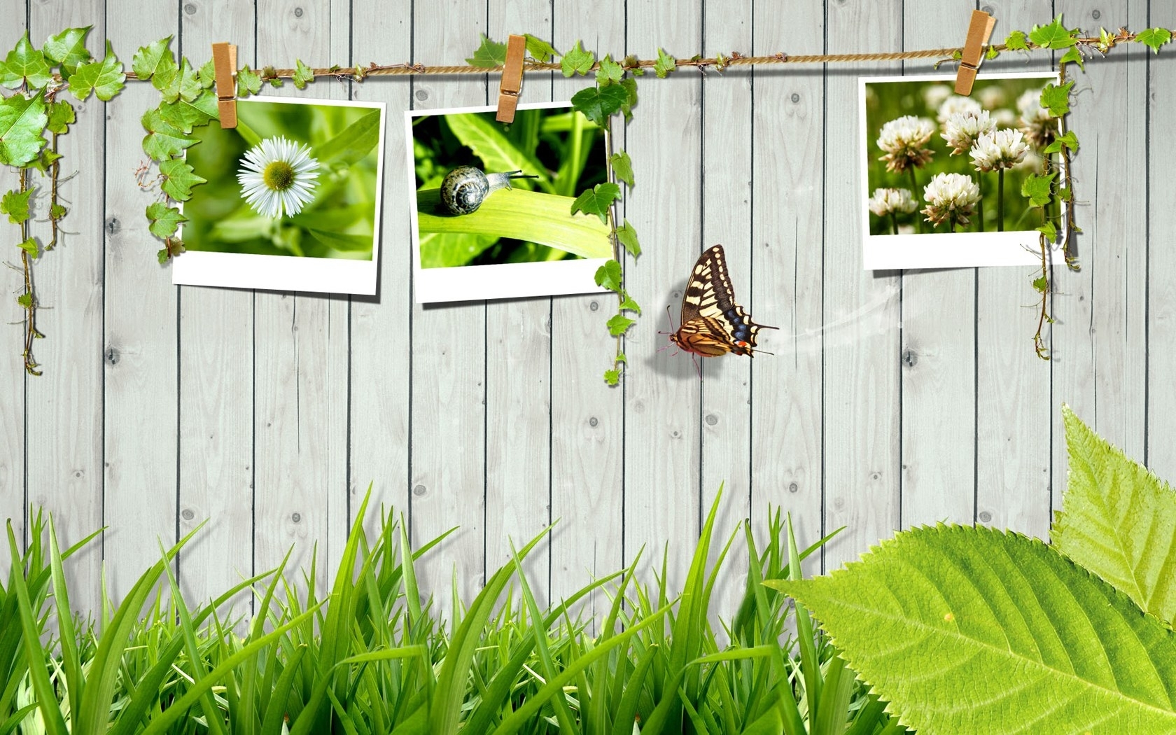 Free download wallpaper Abstract, Grass, Art, Landscape, Butterflies on your PC desktop
