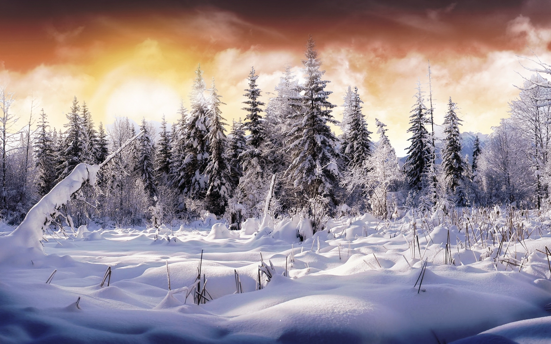 Скачать обои бесплатно Снег, Елки, Природа, Пейзаж, Деревья, Зима картинка на рабочий стол ПК