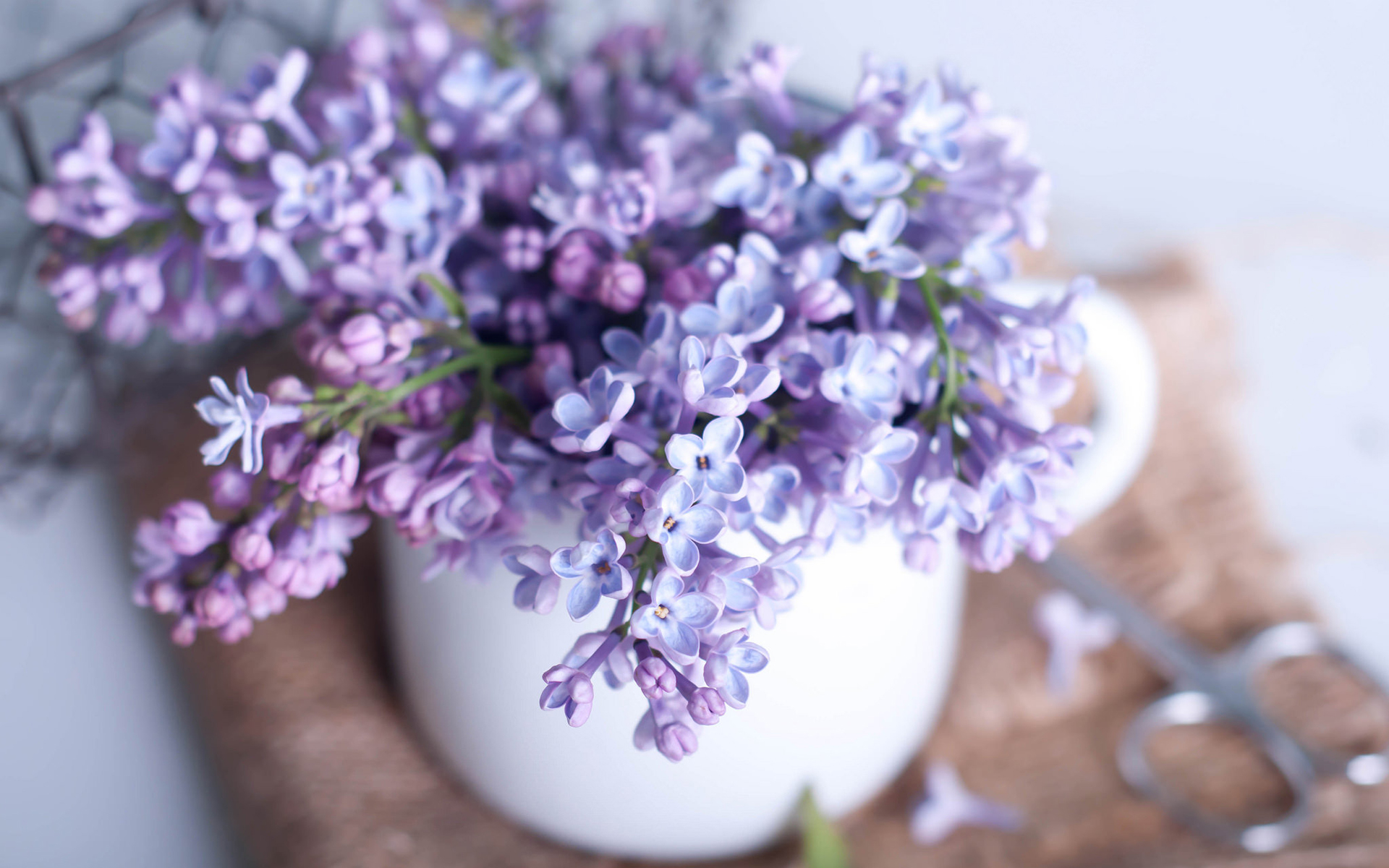 Download mobile wallpaper Lilac, Still Life, Flower, Man Made for free.