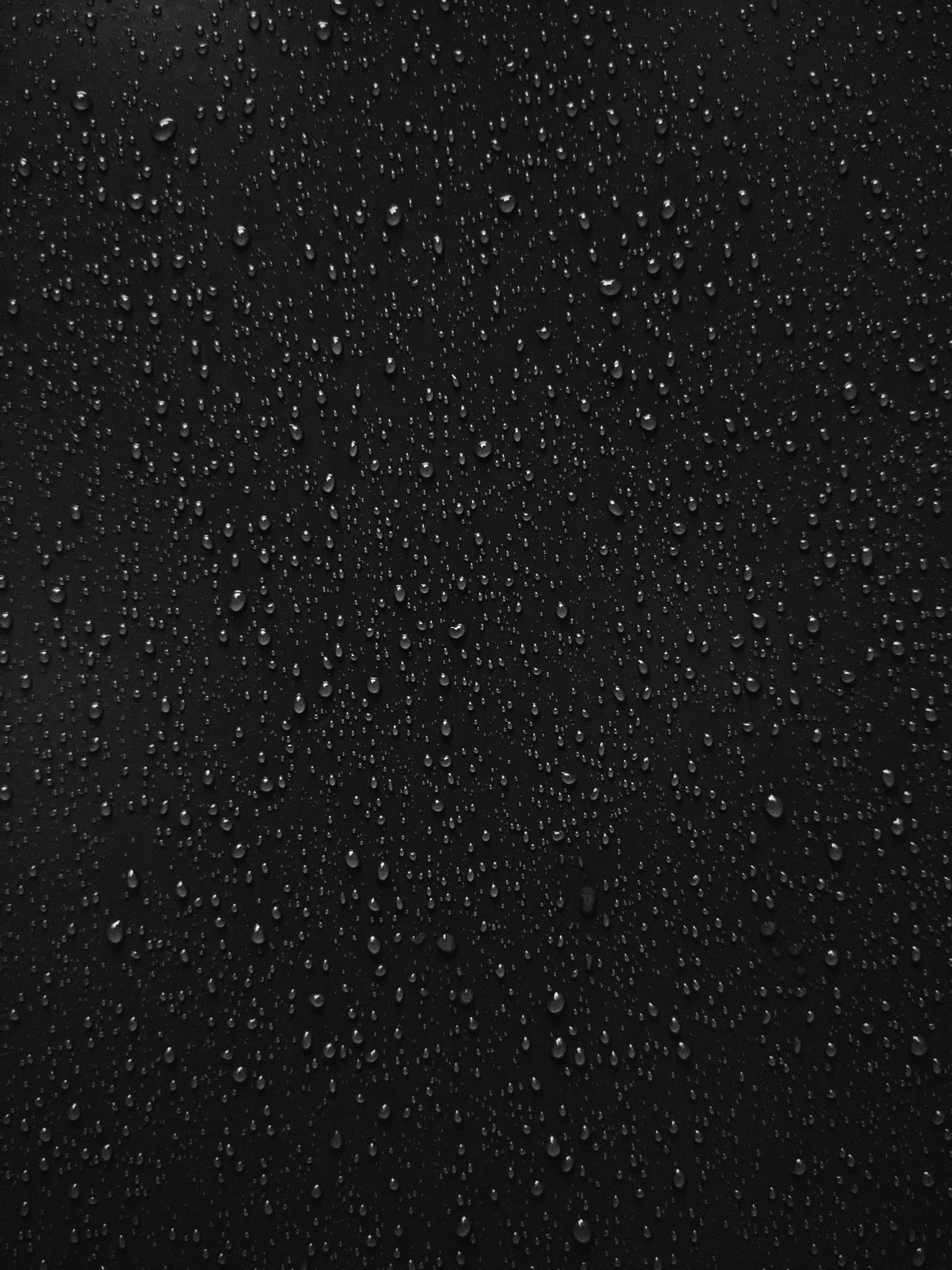 106598壁紙のダウンロード表面, ウェット, 滴, 黒, 大きい, マクロ, 濡れた, 黒い-スクリーンセーバーと写真を無料で